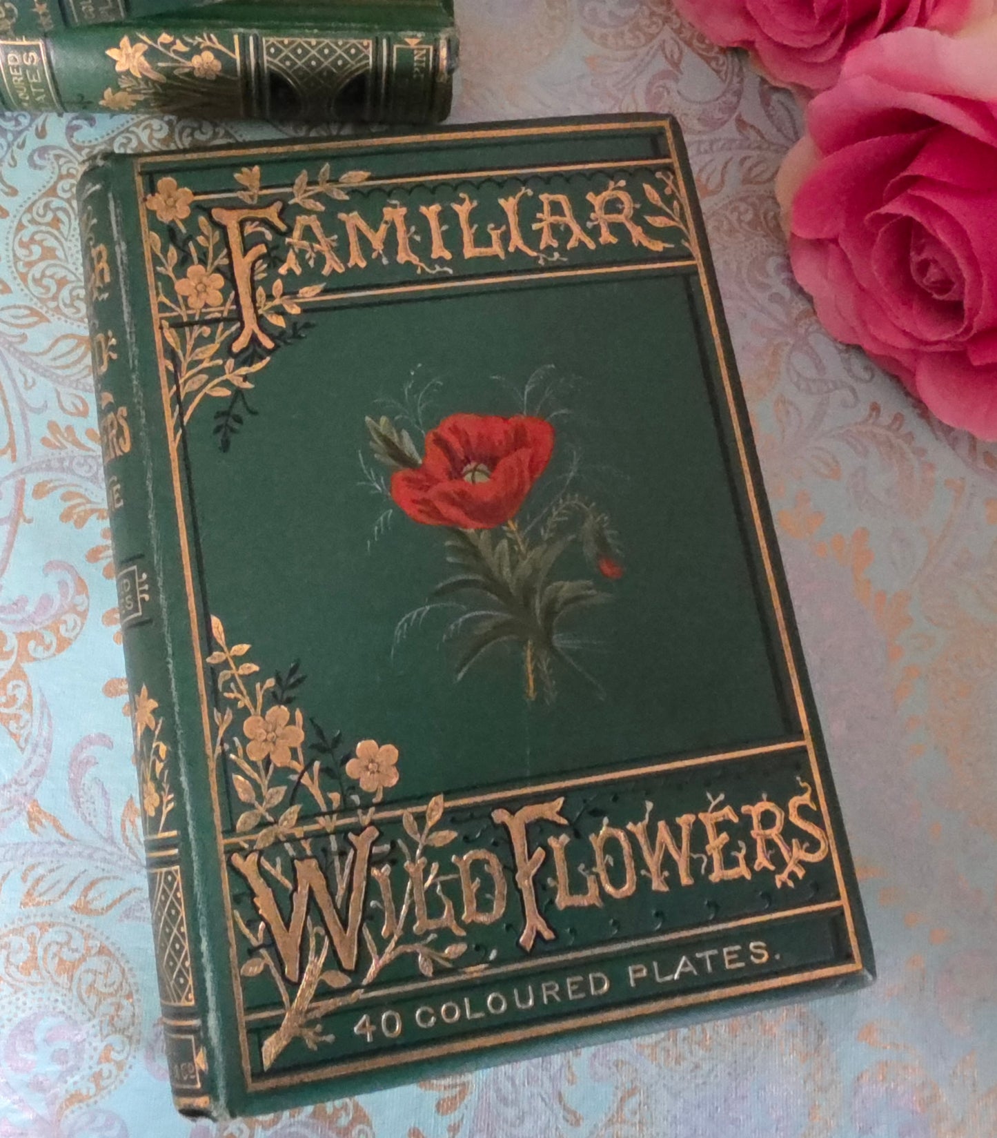1880s Complete Set in Five Volumes of Familiar Wild Flowers - 200 Colour Illustrations