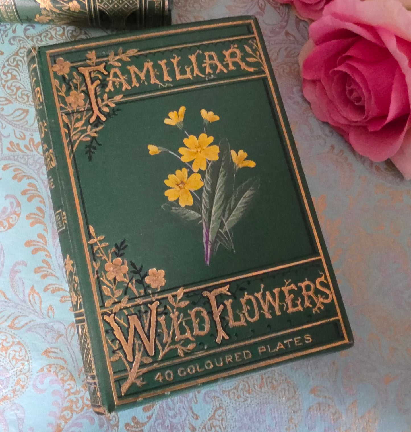 1880s Complete Set in Five Volumes of Familiar Wild Flowers - 200 Colour Illustrations