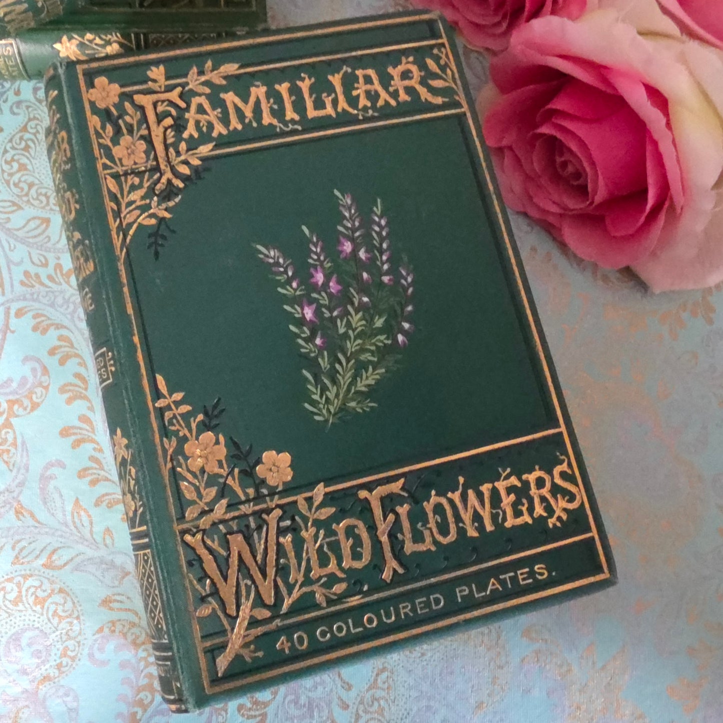 1880s Complete Set in Five Volumes of Familiar Wild Flowers - 200 Colour Illustrations