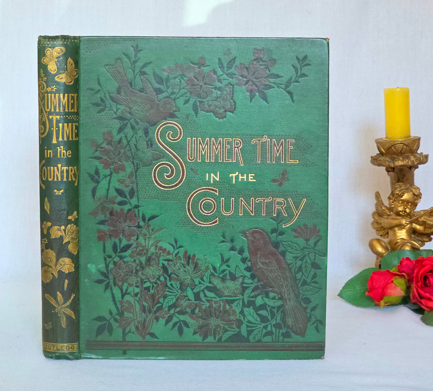 1880 Summer Time in the Country By Rev Willmott - Antique Book - Summer Writing