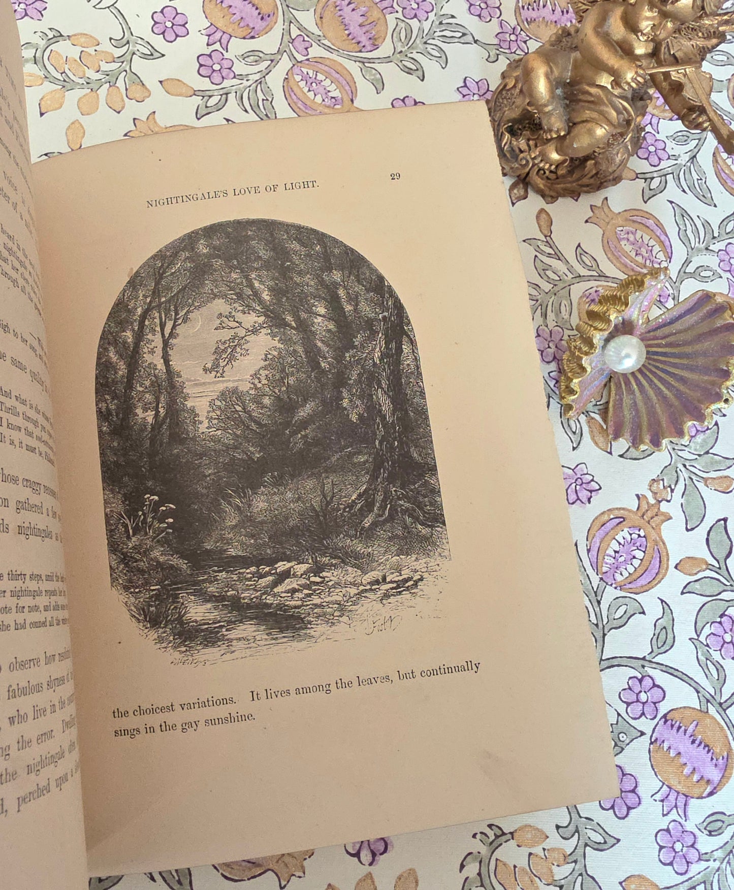 1880 Summer Time in the Country By Rev Willmott - Antique Book - Summer Writing