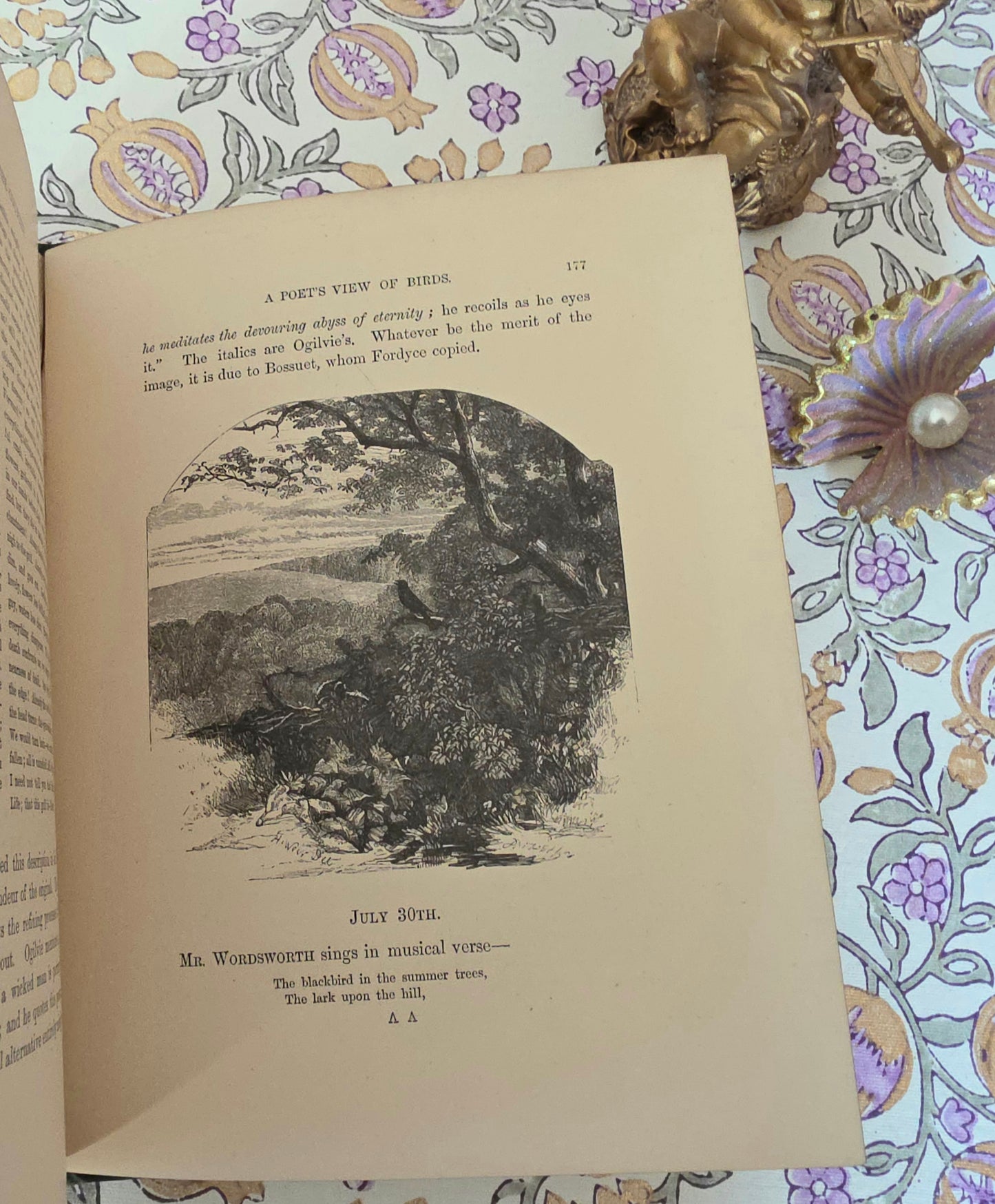 1880 Summer Time in the Country By Rev Willmott - Antique Book - Summer Writing