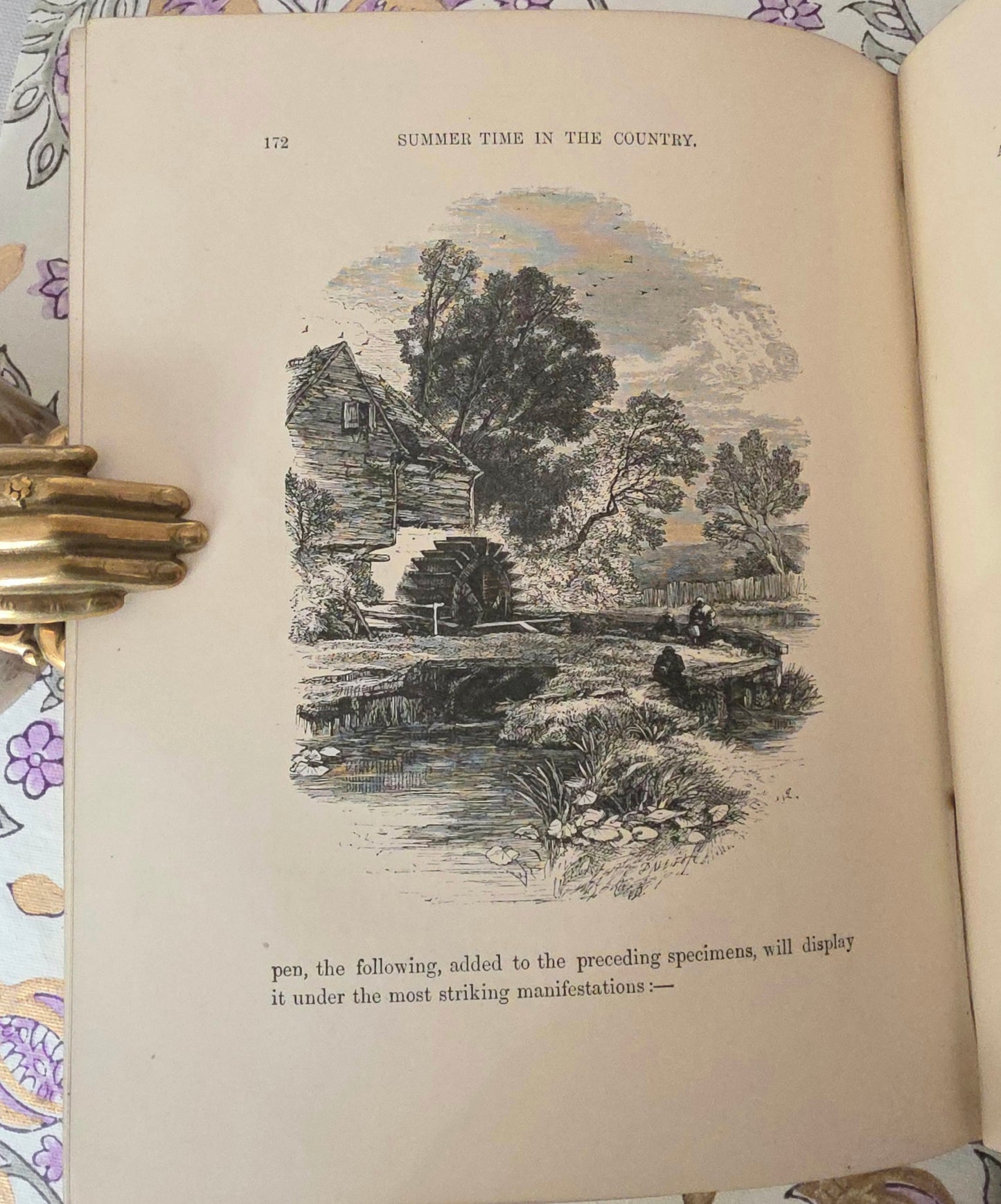 1880 Summer Time in the Country By Rev Willmott - Antique Book - Summer Writing