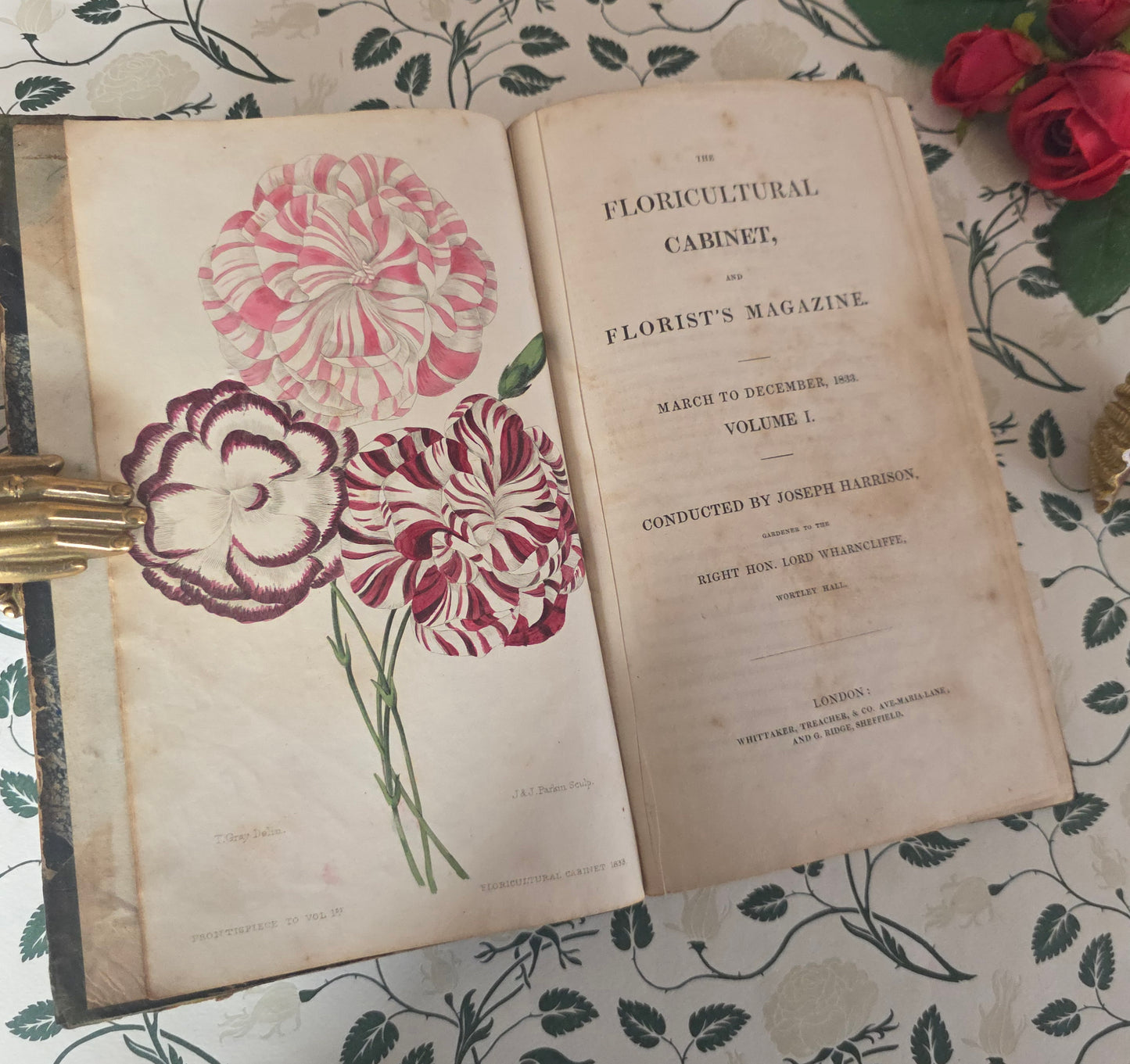 1833 Floricultural Cabinet - 14 Hand Coloured Botanical Flower Illustrations