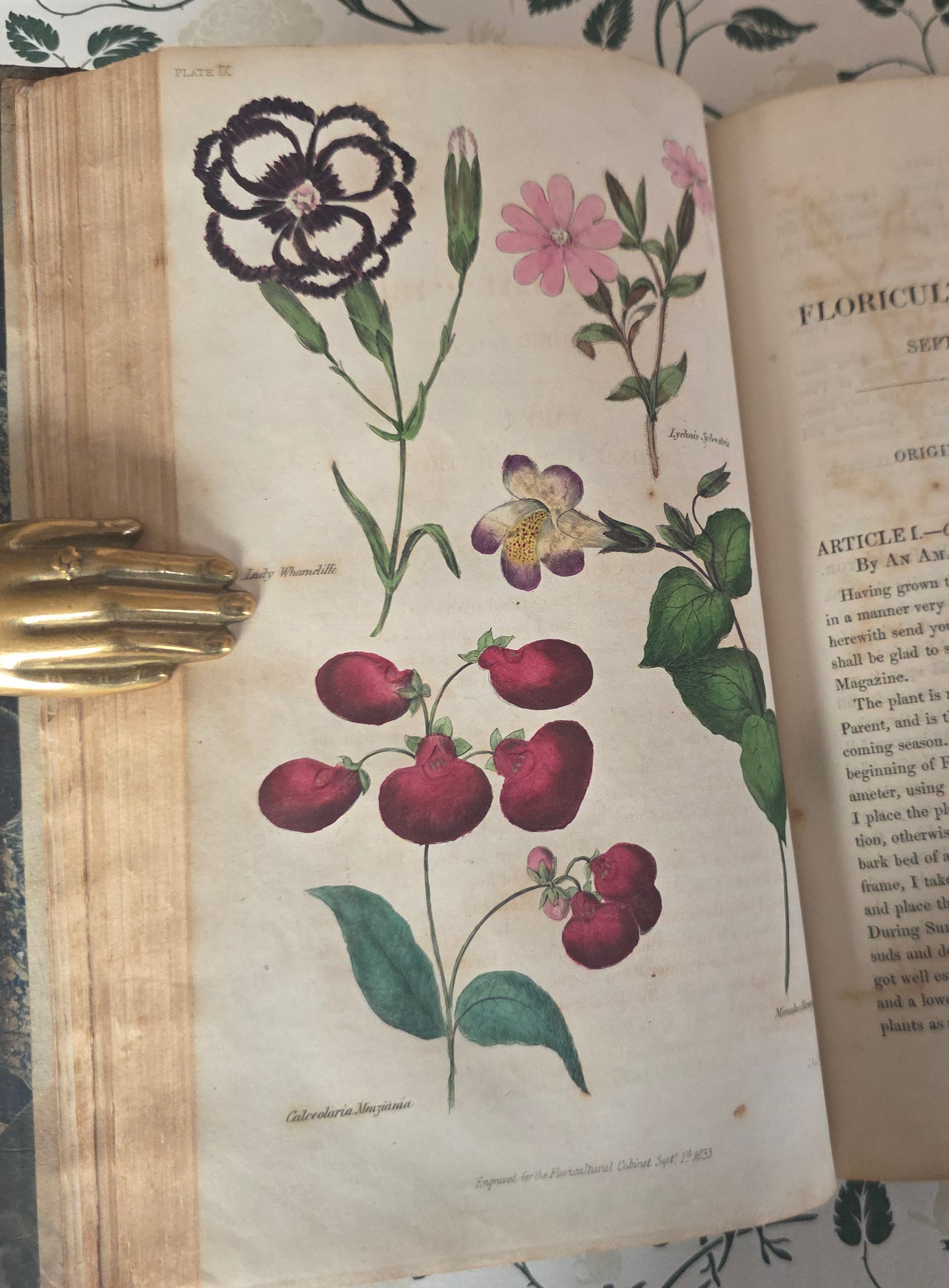 1833 Floricultural Cabinet - 14 Hand Coloured Botanical Flower Illustrations