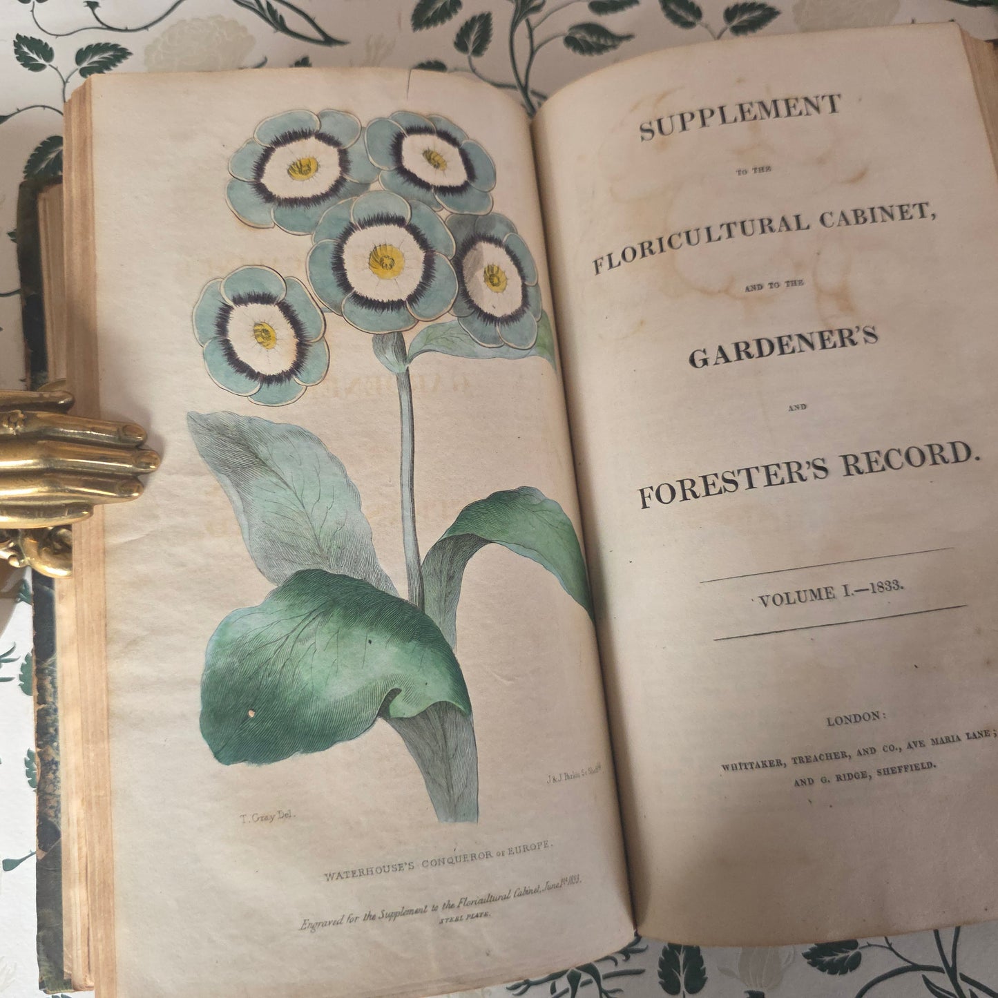 1833 Floricultural Cabinet - 14 Hand Coloured Botanical Flower Illustrations