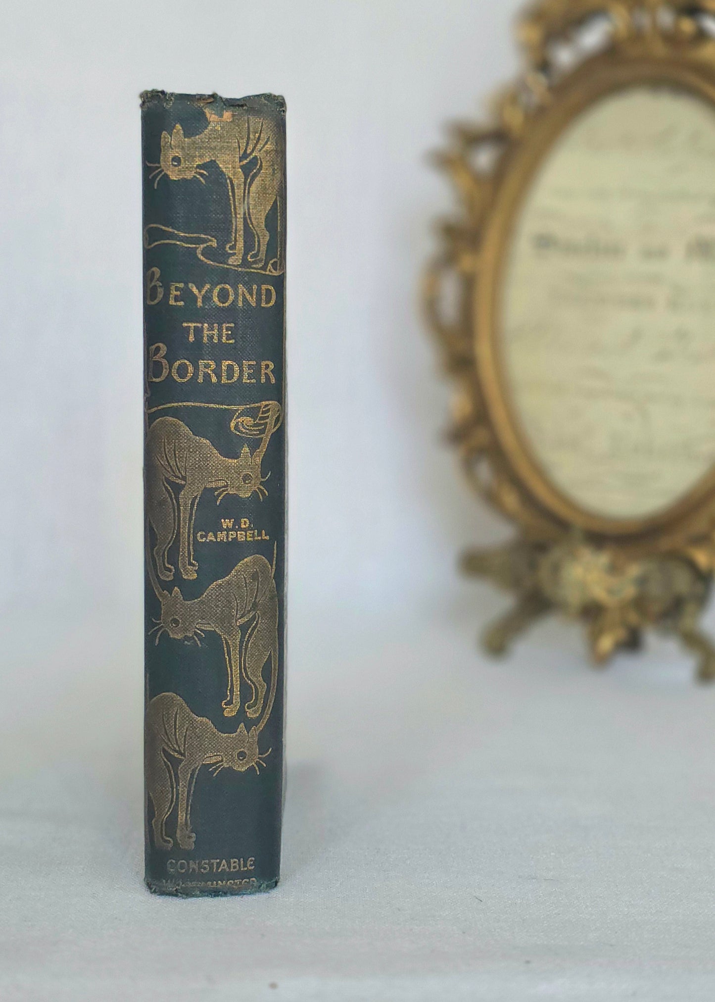 1898 Beyond the Border by Walter Douglas Campbell / Beautiful Boards / Richly Illustrated by Helen Stratton