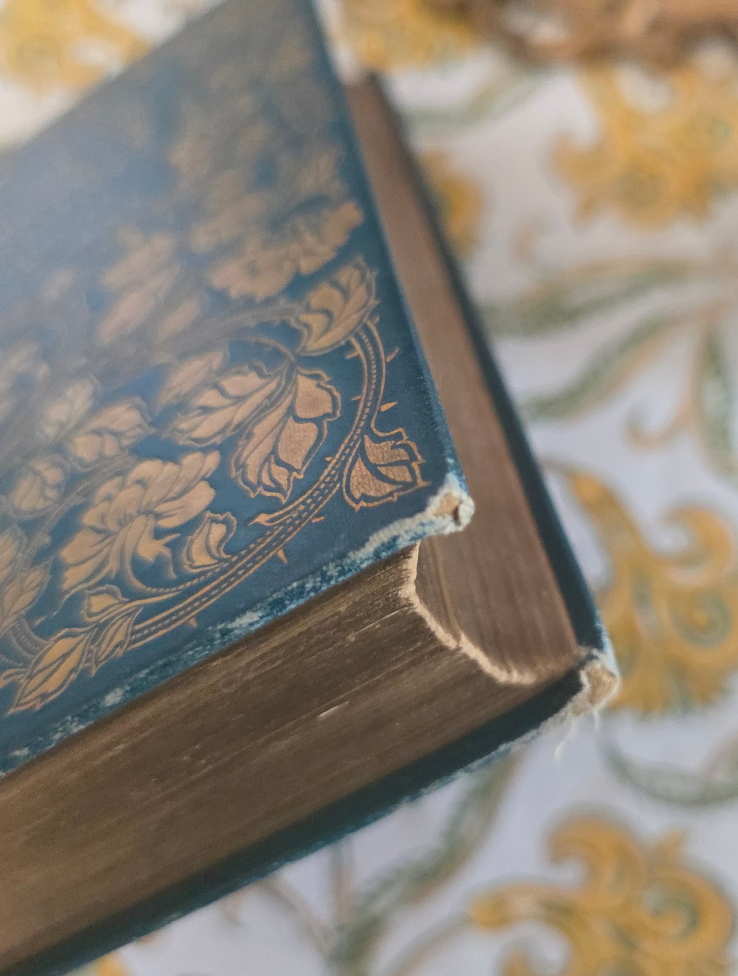 1896 Two Novels by John Galt - Brock Illustrations and Turbayne Covers