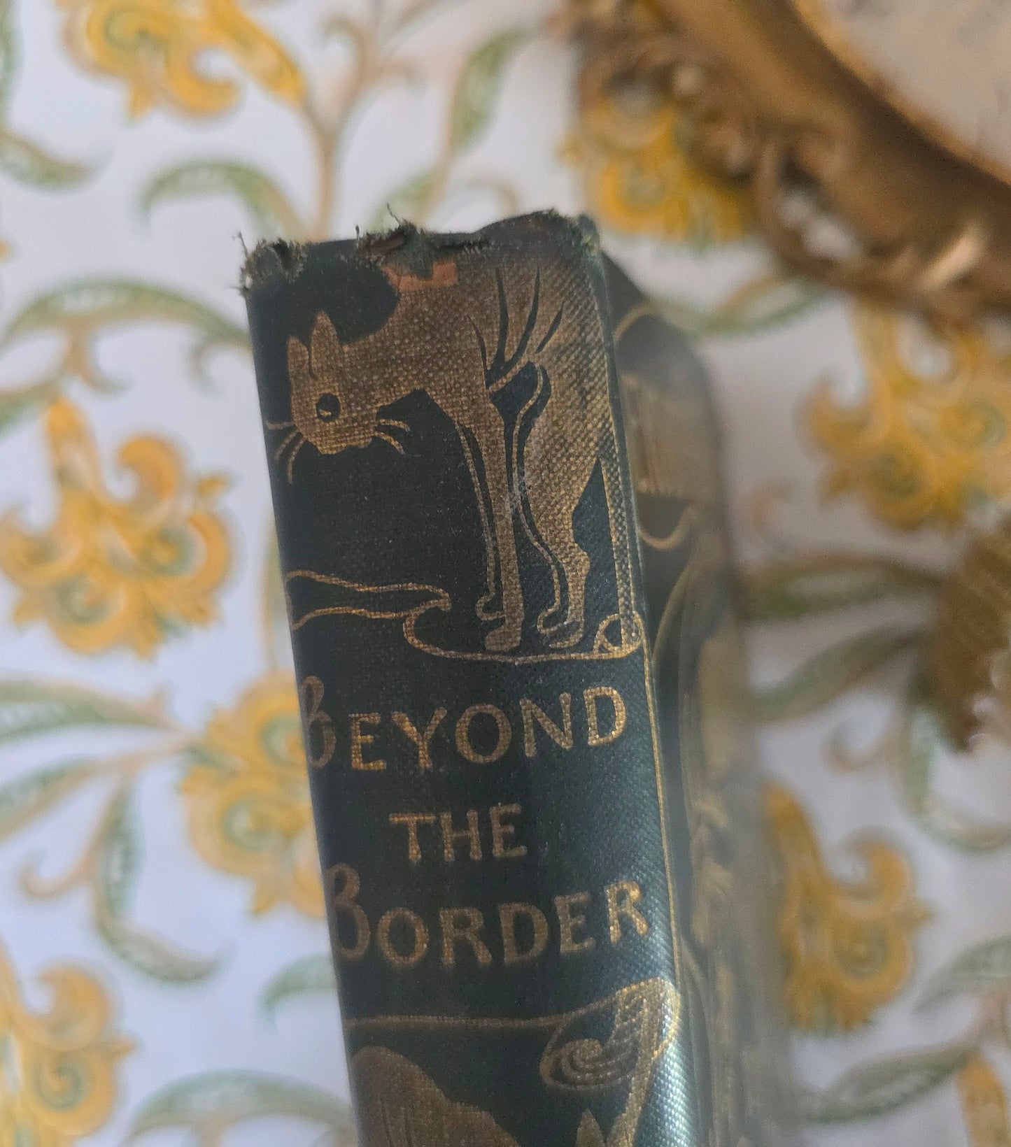 1898 Beyond the Border by Walter Douglas Campbell / Beautiful Boards / Richly Illustrated by Helen Stratton