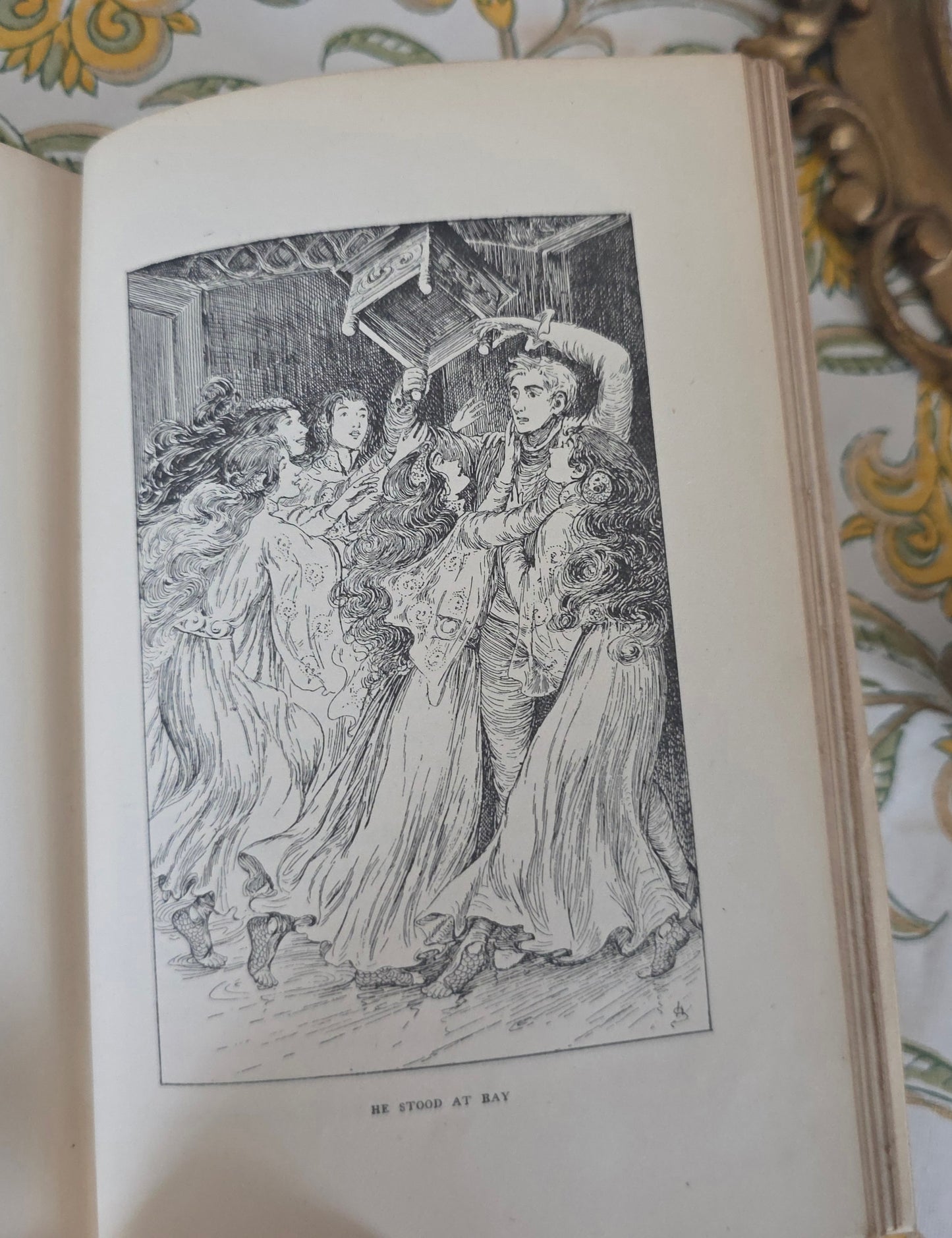 1898 Beyond the Border by Walter Douglas Campbell / Beautiful Boards / Richly Illustrated by Helen Stratton