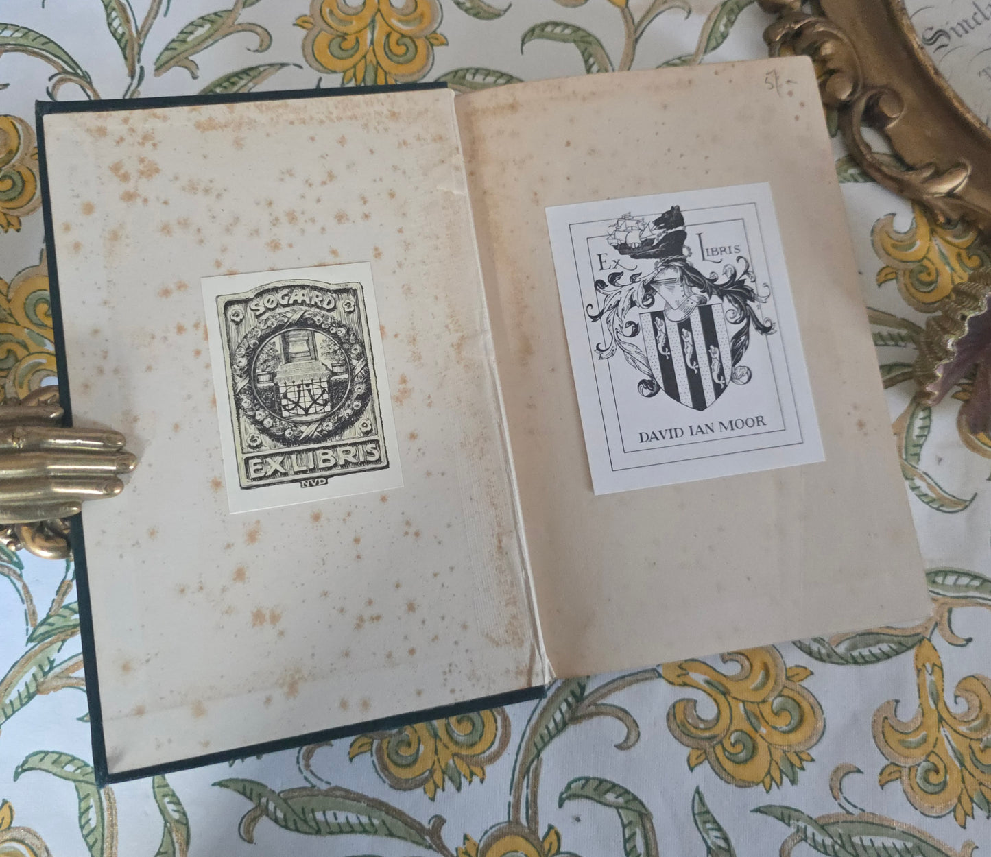 1901 A Kentucky Cardinal and Aftermath by James Lane Allen / Macmillan & Co., London / Beautifully Illustrated Throughout by Hugh Thomson