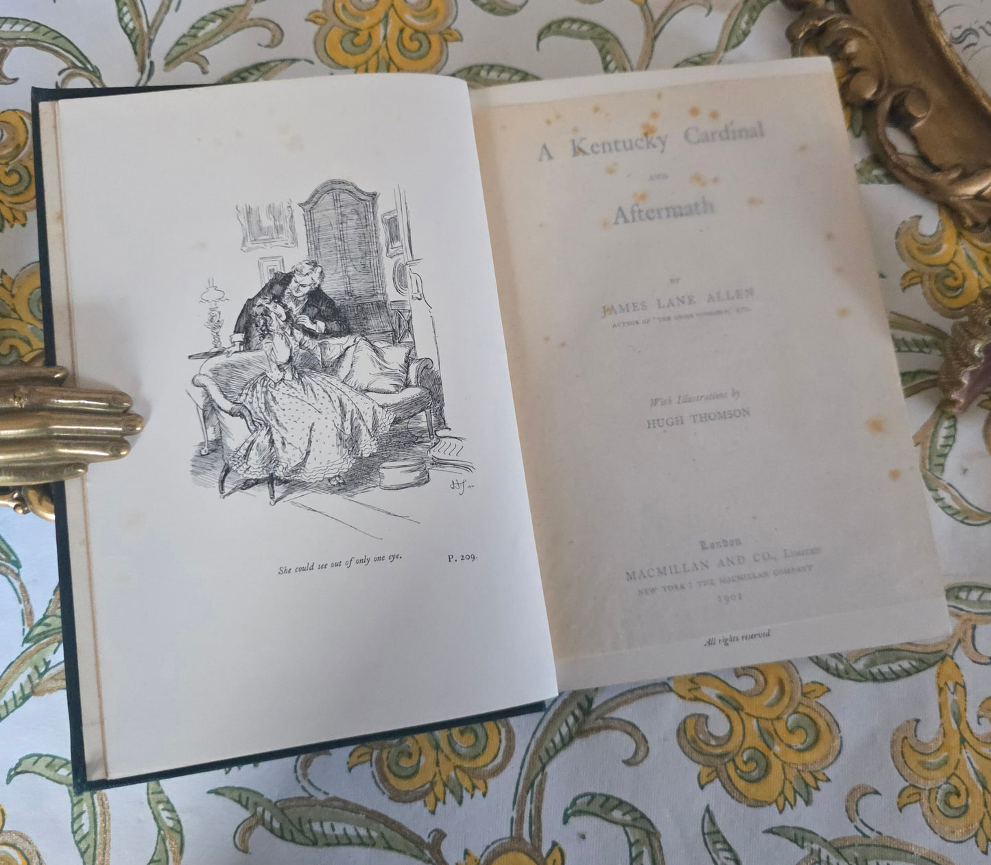 1901 A Kentucky Cardinal and Aftermath by James Lane Allen / Macmillan & Co., London / Beautifully Illustrated Throughout by Hugh Thomson
