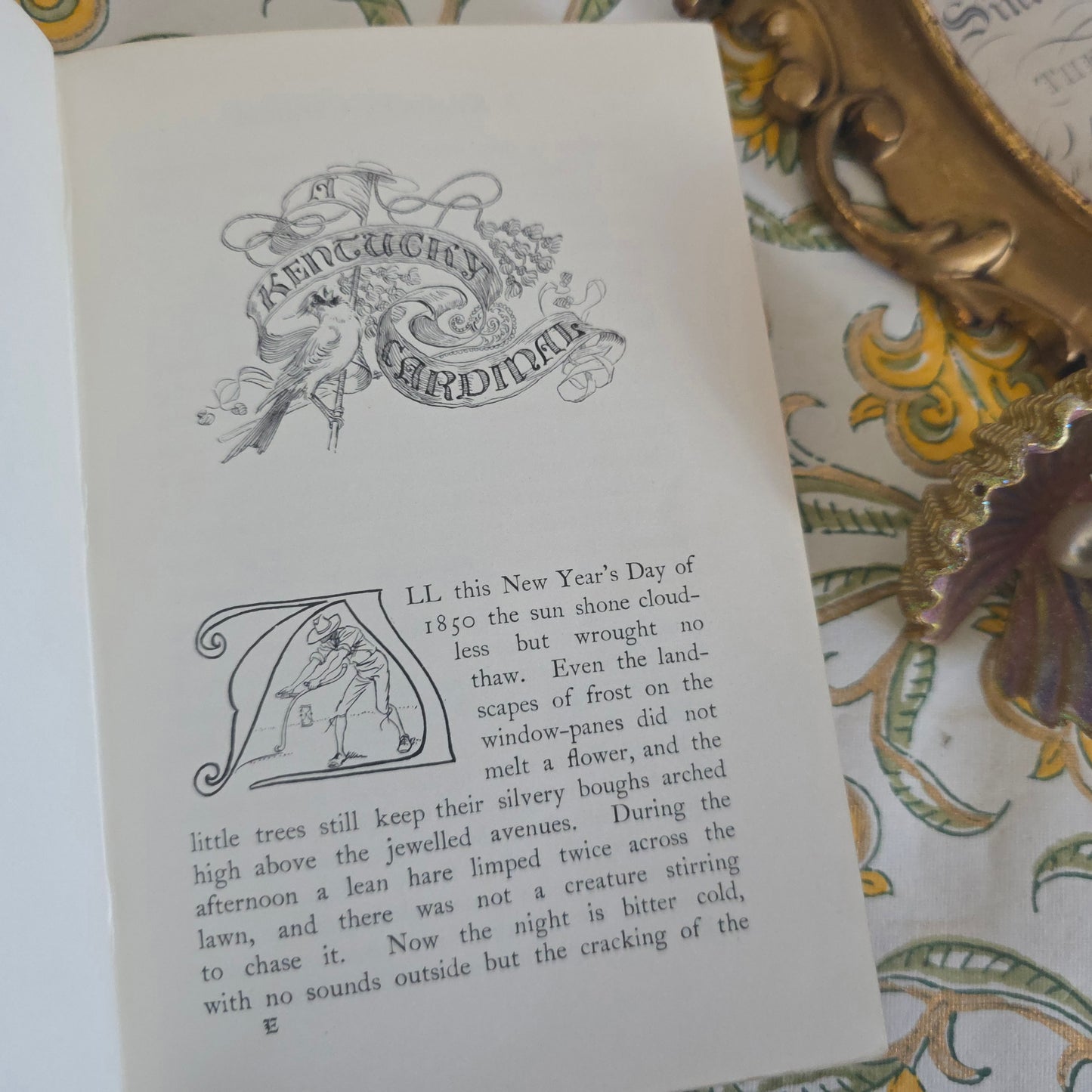 1901 A Kentucky Cardinal and Aftermath by James Lane Allen / Macmillan & Co., London / Beautifully Illustrated Throughout by Hugh Thomson