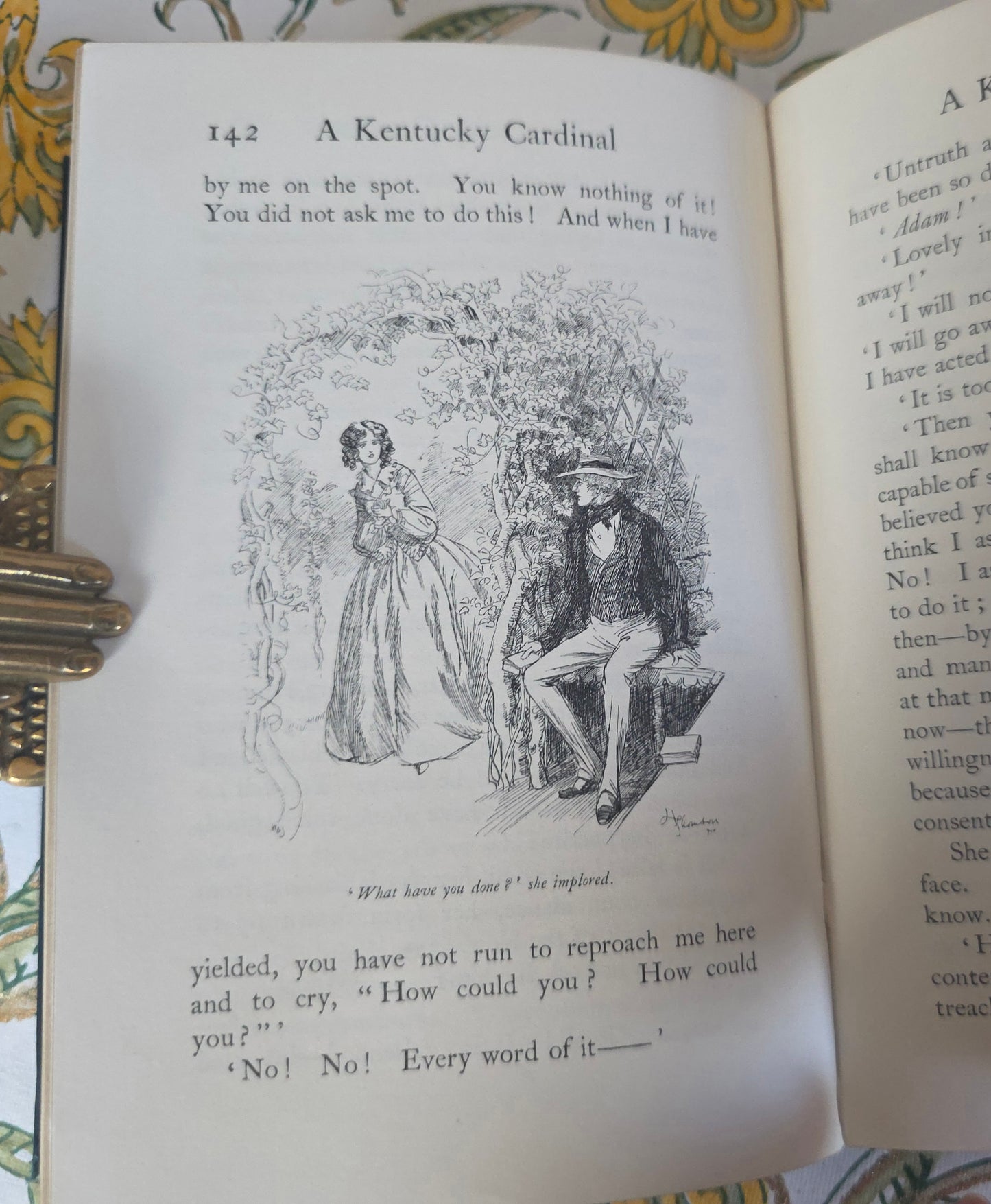 1901 A Kentucky Cardinal and Aftermath by James Lane Allen / Macmillan & Co., London / Beautifully Illustrated Throughout by Hugh Thomson