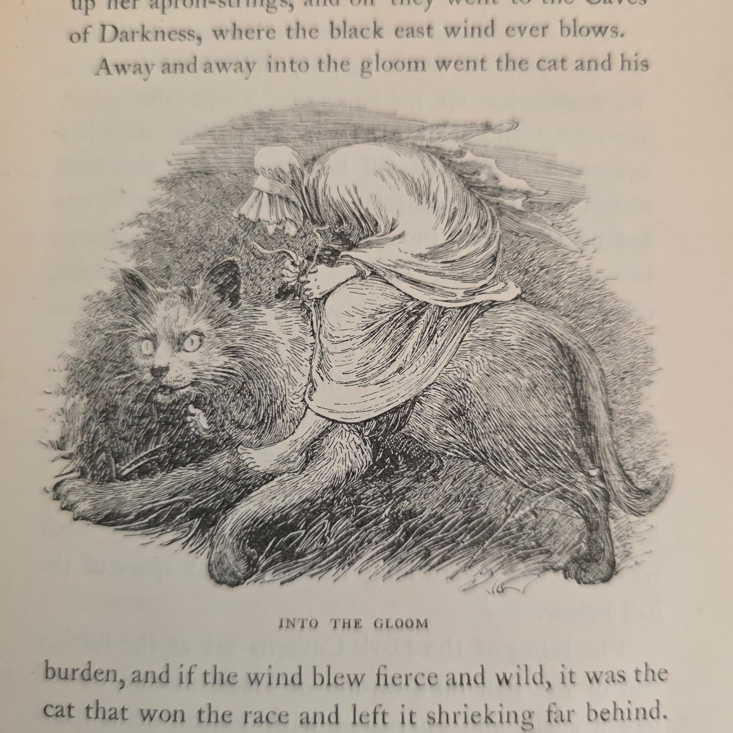 1898 Beyond the Border by Walter Douglas Campbell / Beautiful Boards / Richly Illustrated by Helen Stratton