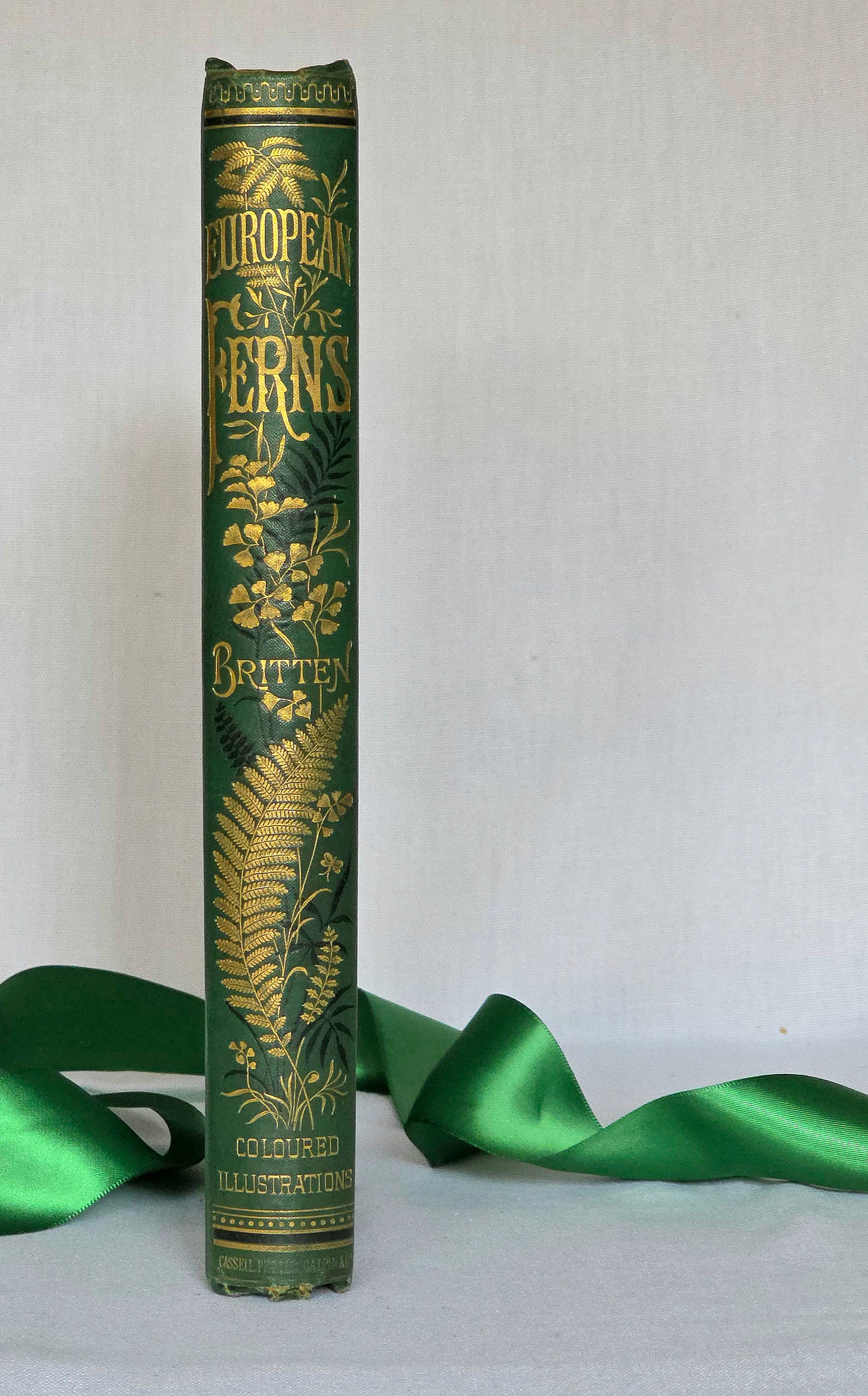 1880 European Ferns by James Britten - Large, Richly Illustrated Antique Book