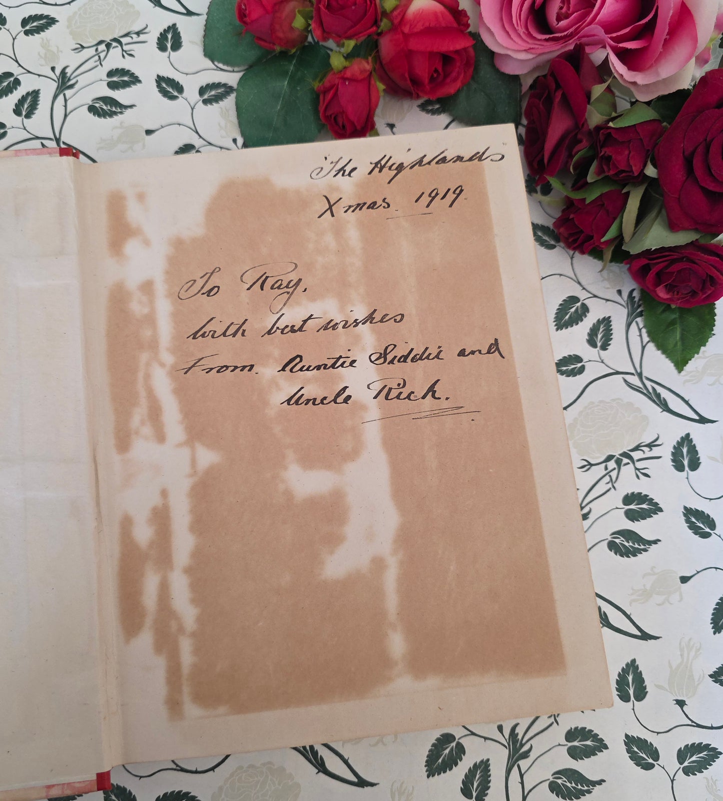 c1912 The Rose Book of the Fairies - Illustrated Antique Book