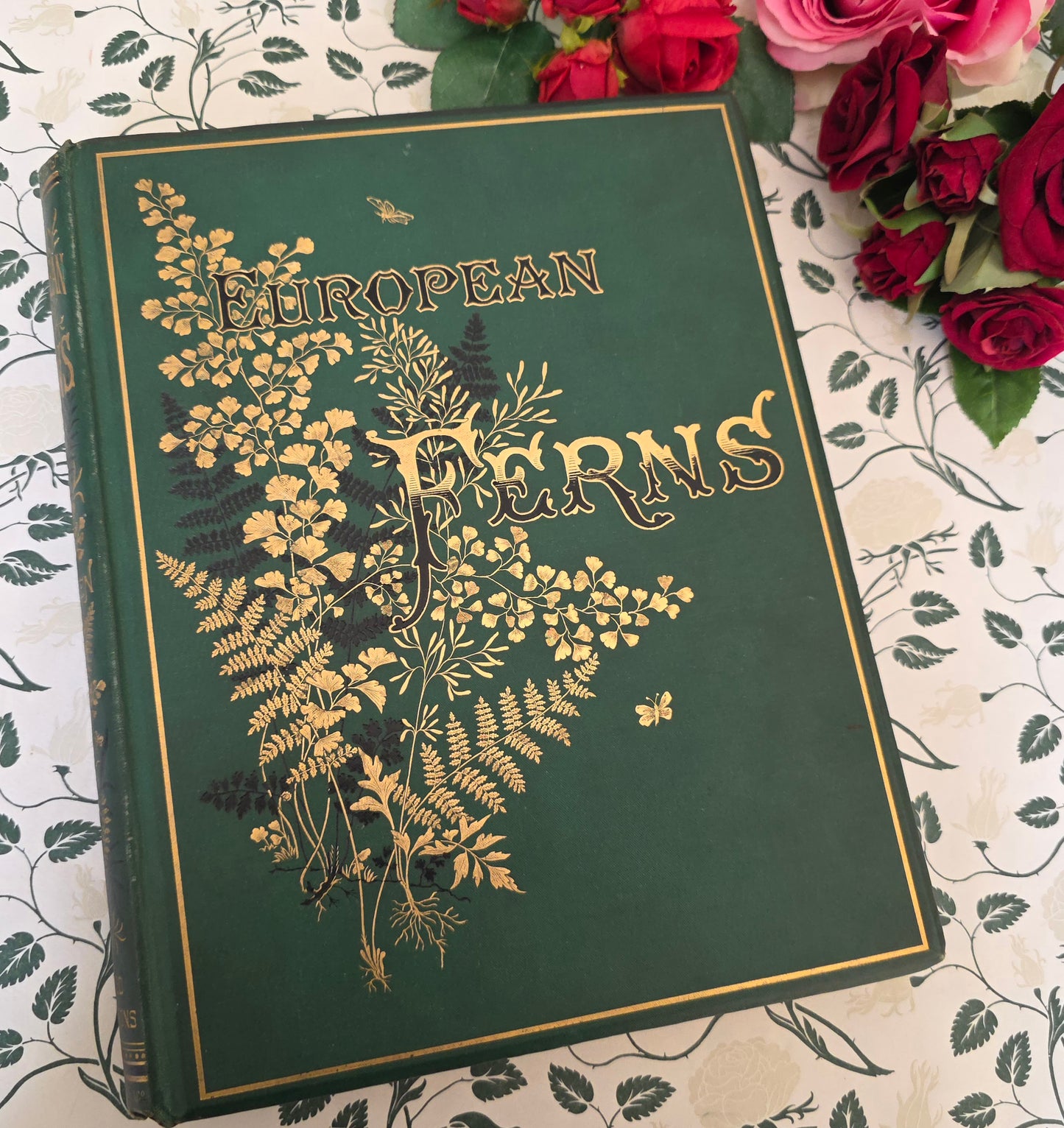 1880 European Ferns by James Britten - Large, Richly Illustrated Antique Book