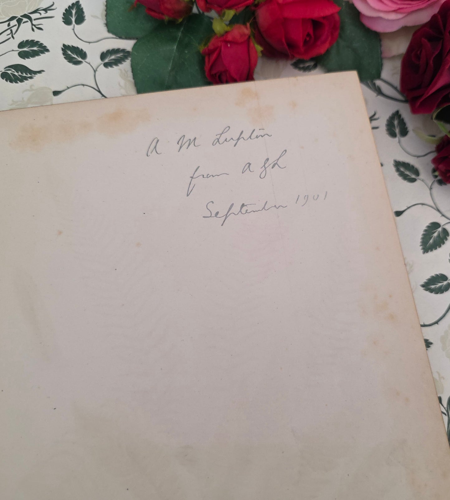 1880 European Ferns by James Britten - Large, Richly Illustrated Antique Book