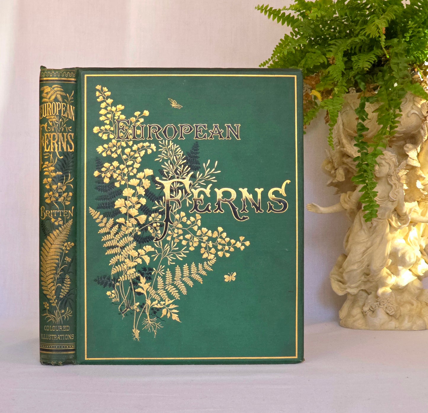 1880 European Ferns by James Britten - Large, Richly Illustrated Antique Book