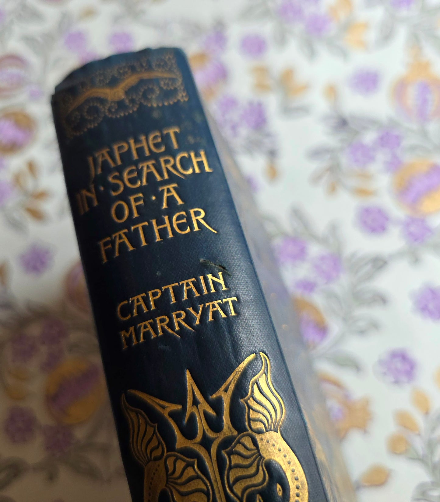 1895 Japhet In Search of a Father - Antique Book, Turbayne Covers, Illustrated