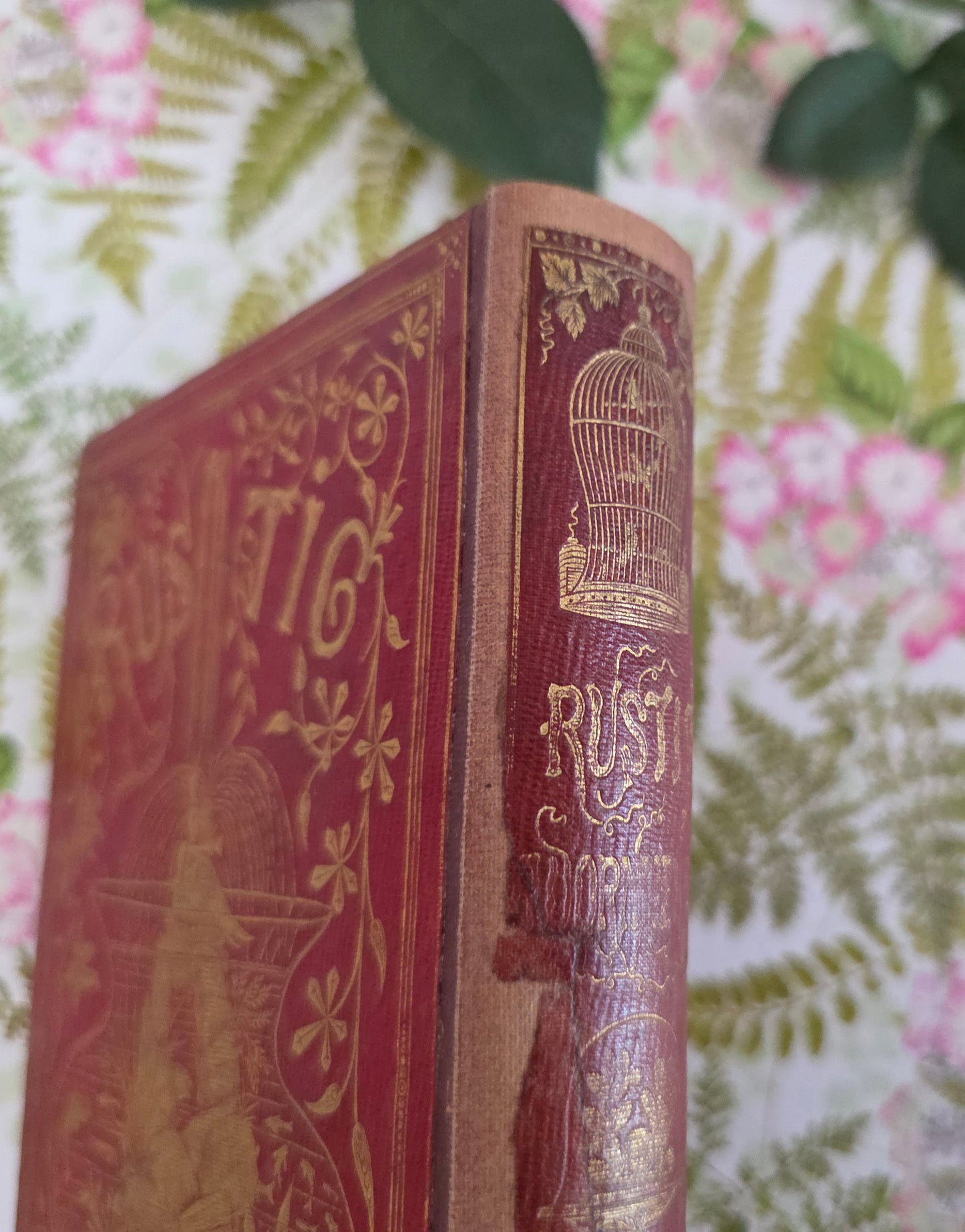 1856 Rustic Adornments by Shirley Hibberd - Richly Illustrated Antique Book