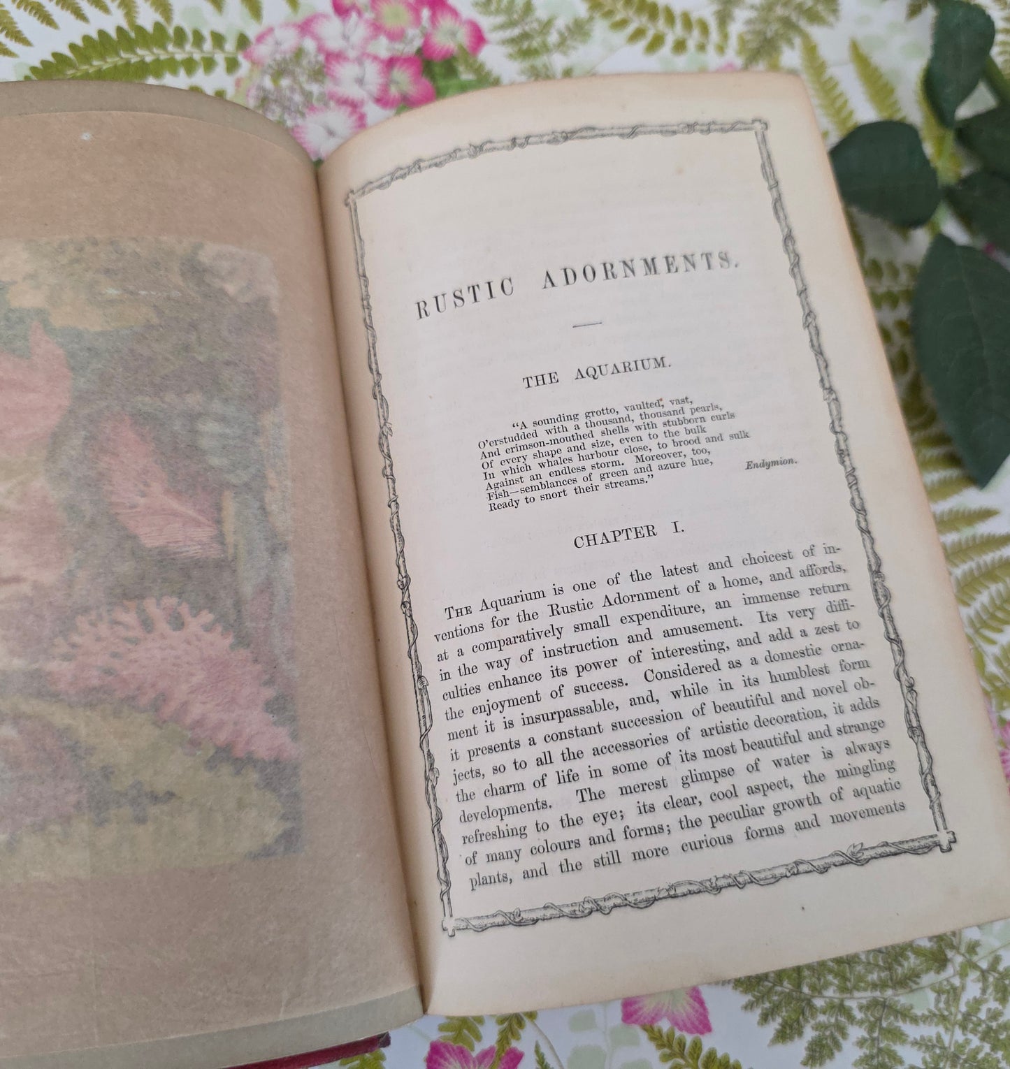 1856 Rustic Adornments by Shirley Hibberd - Richly Illustrated Antique Book