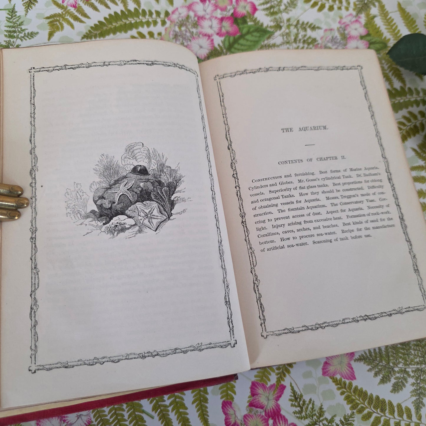 1856 Rustic Adornments by Shirley Hibberd - Richly Illustrated Antique Book