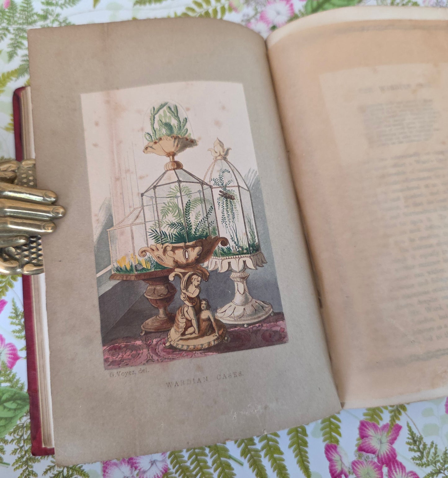 1856 Rustic Adornments by Shirley Hibberd - Richly Illustrated Antique Book