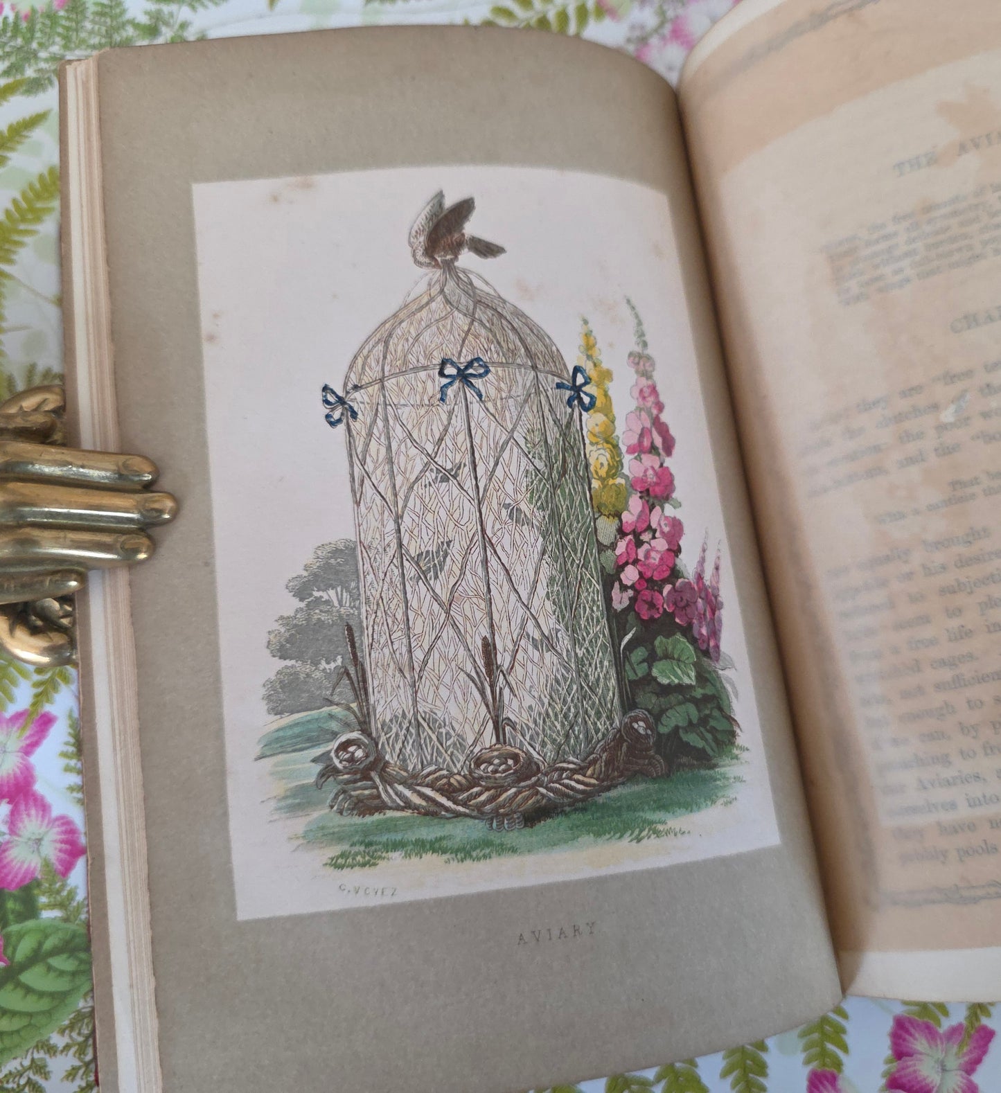 1856 Rustic Adornments by Shirley Hibberd - Richly Illustrated Antique Book
