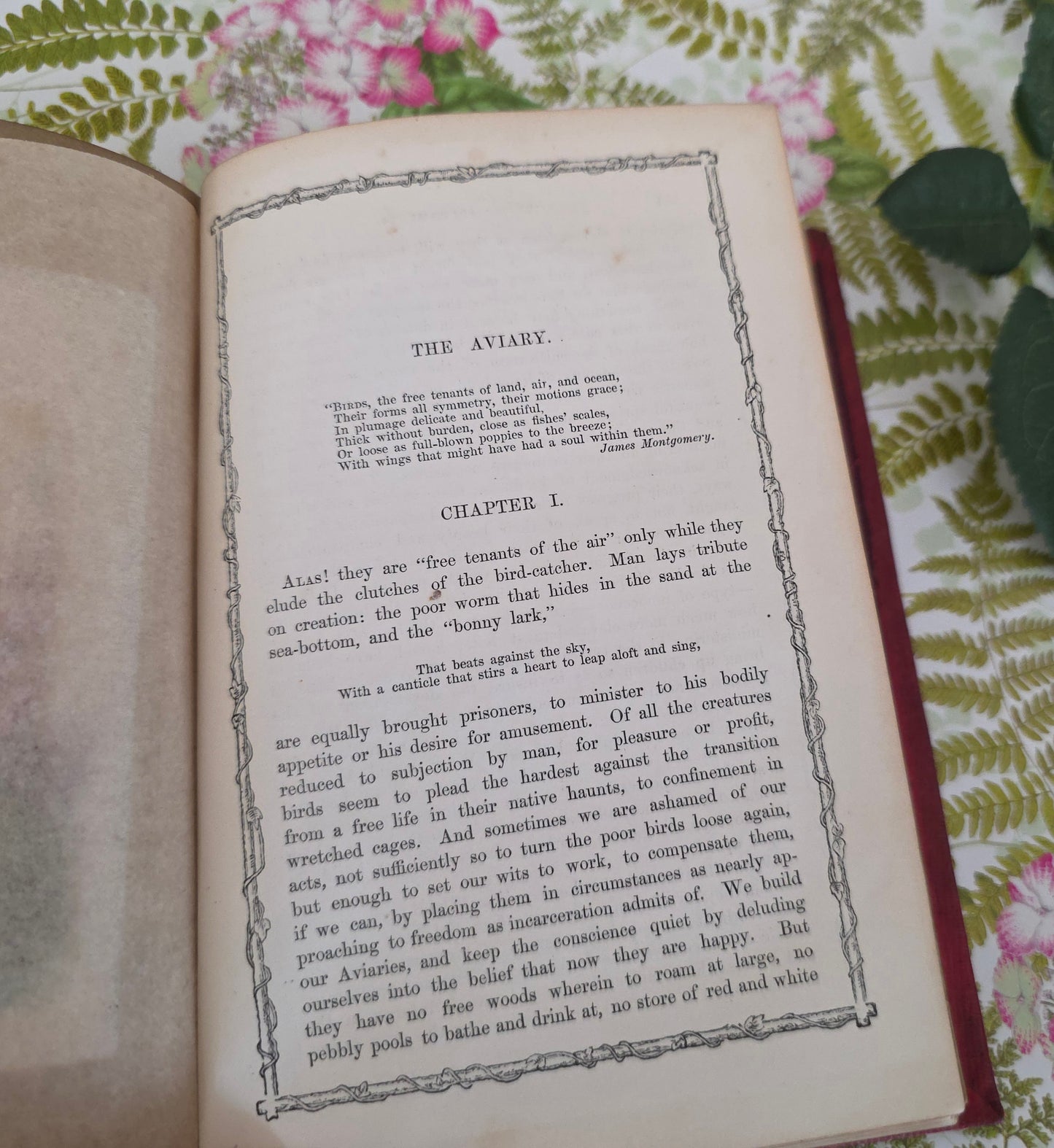 1856 Rustic Adornments by Shirley Hibberd - Richly Illustrated Antique Book