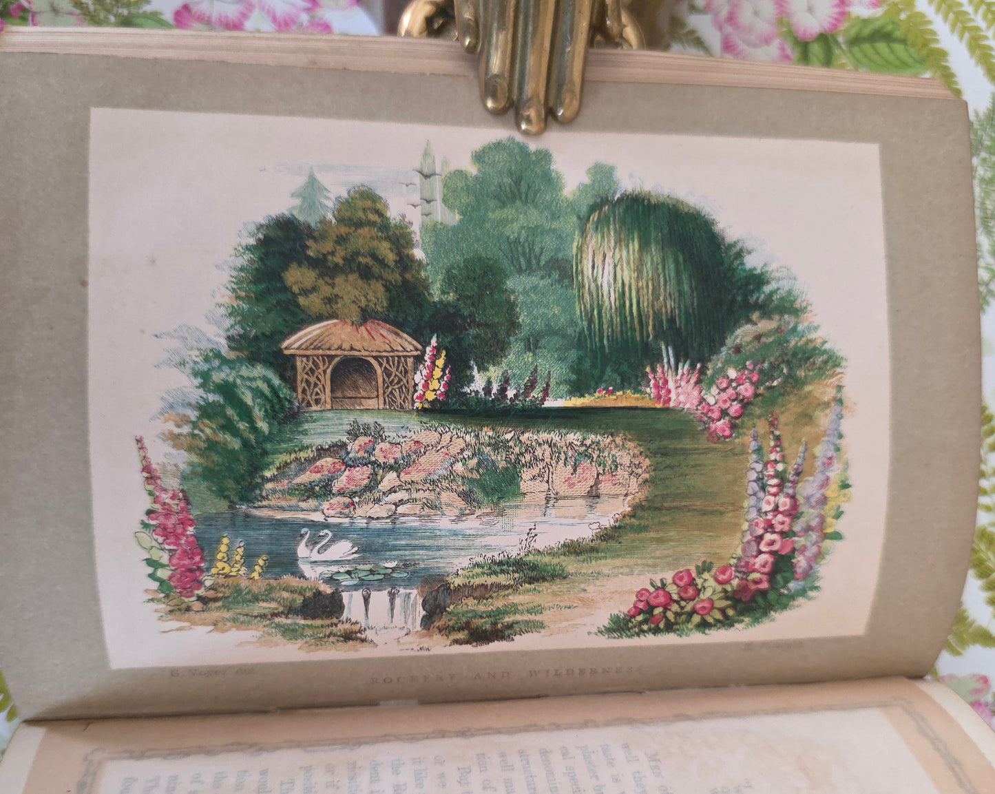 1856 Rustic Adornments by Shirley Hibberd - Richly Illustrated Antique Book