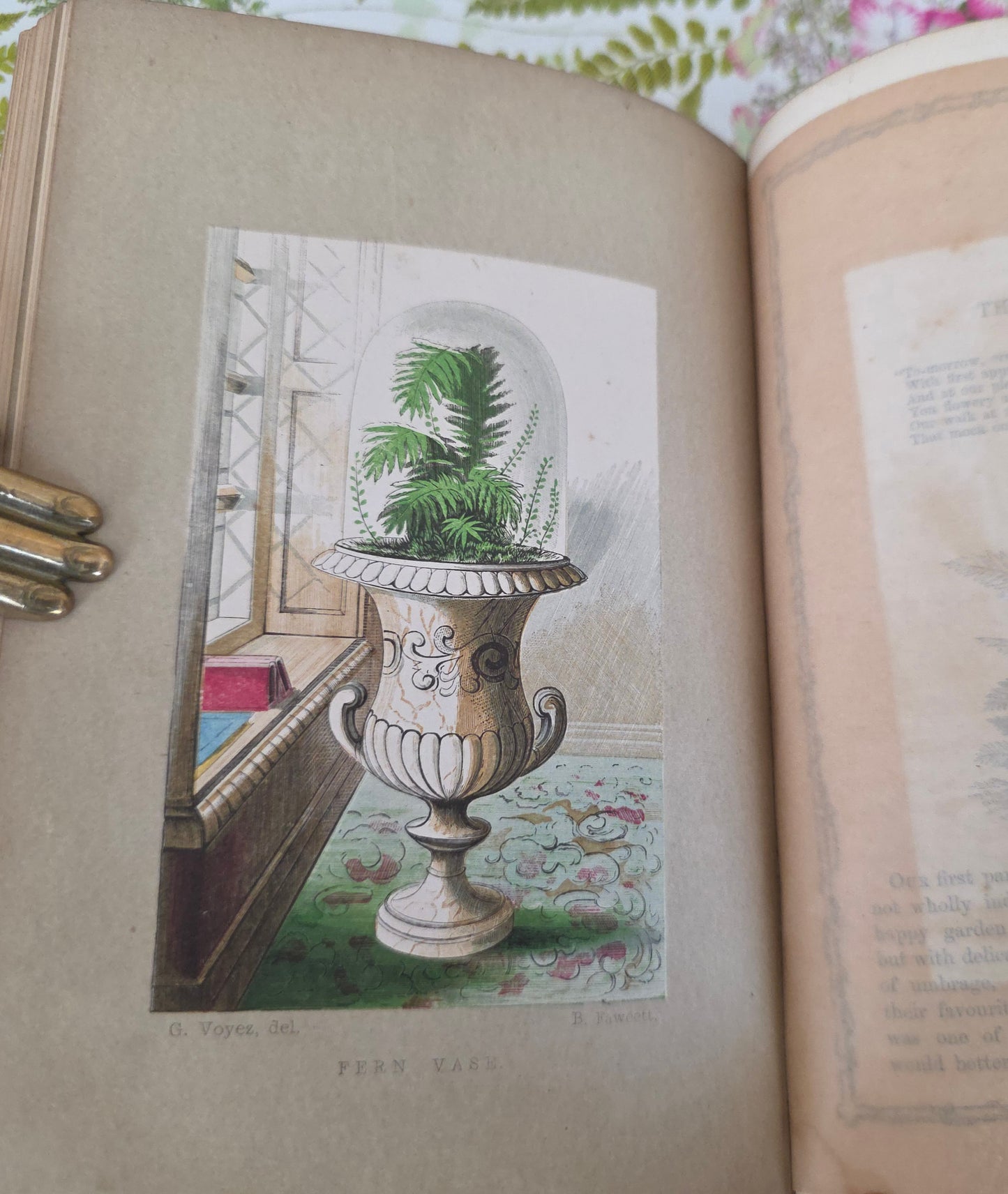 1856 Rustic Adornments by Shirley Hibberd - Richly Illustrated Antique Book