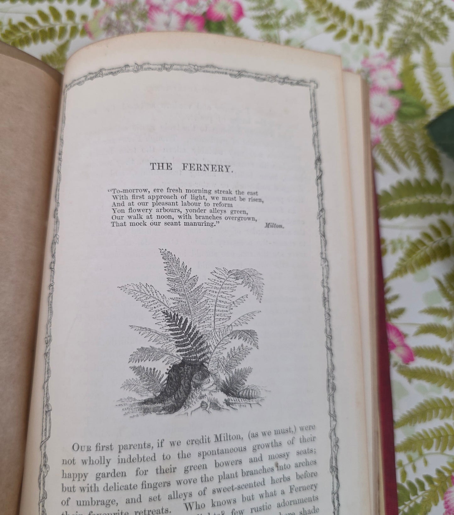 1856 Rustic Adornments by Shirley Hibberd - Richly Illustrated Antique Book