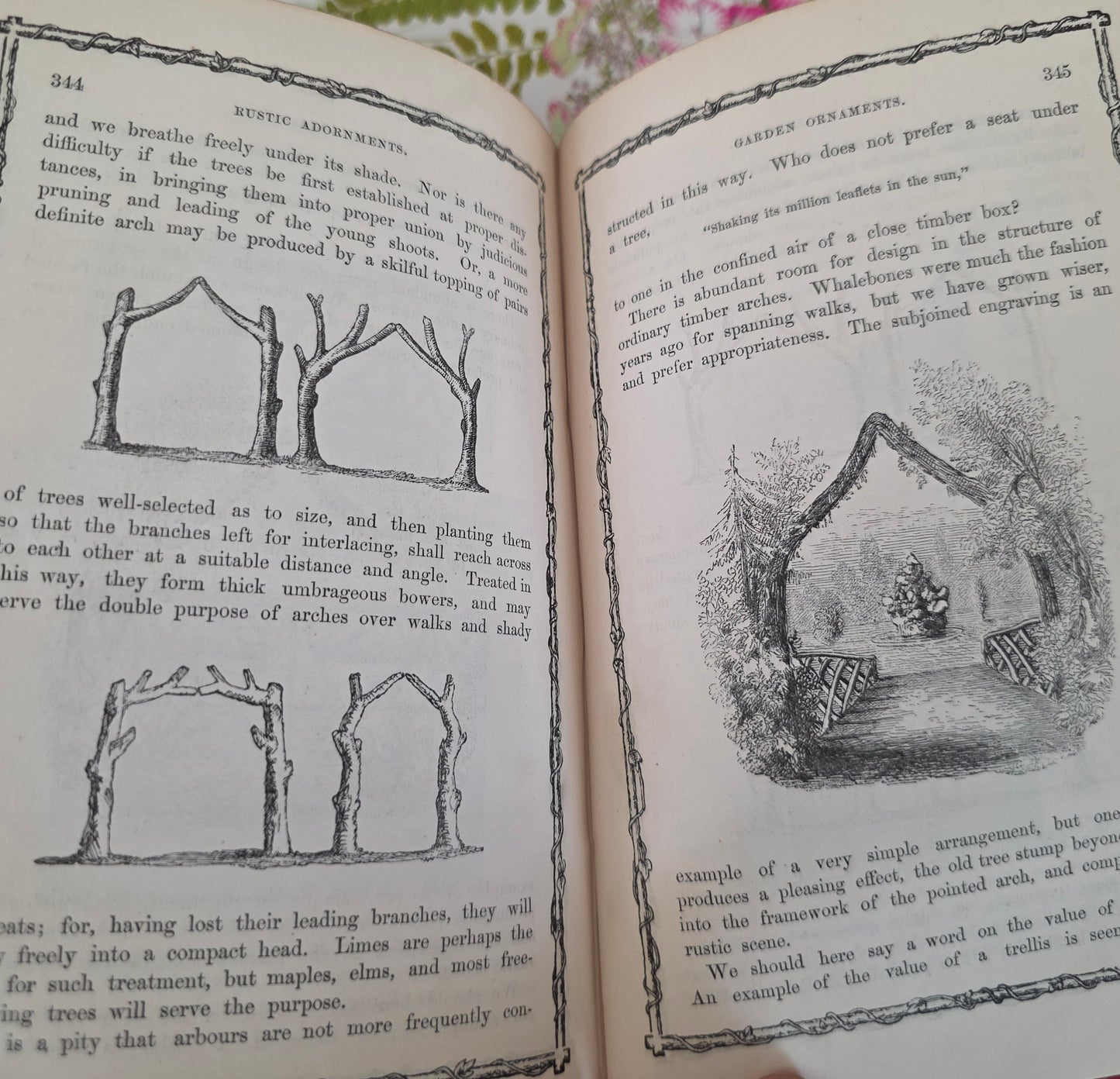 1856 Rustic Adornments by Shirley Hibberd - Richly Illustrated Antique Book