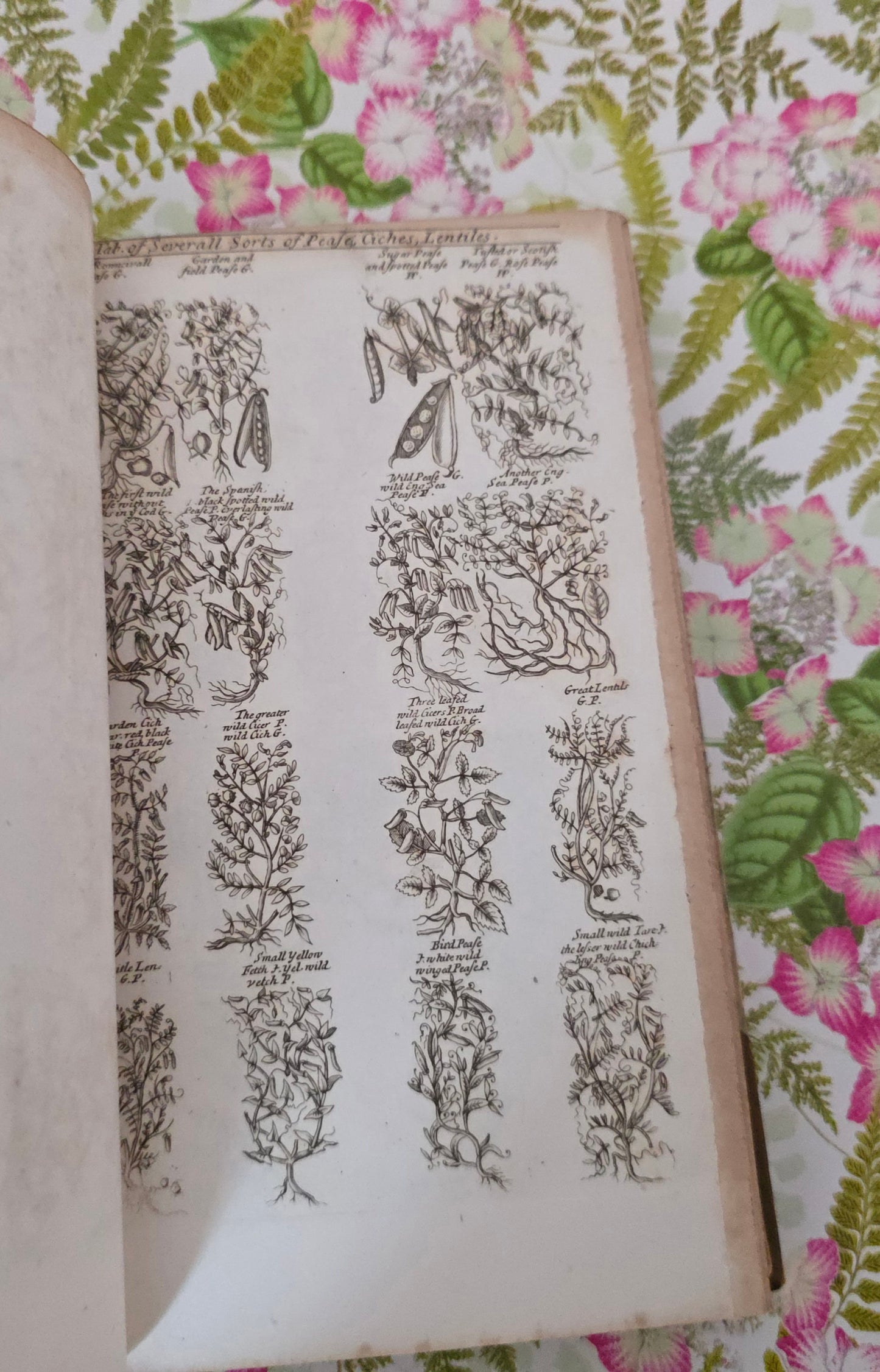 1805 A Complete Herbal - James Newton - Fine Binding - 175 Engraved Plates