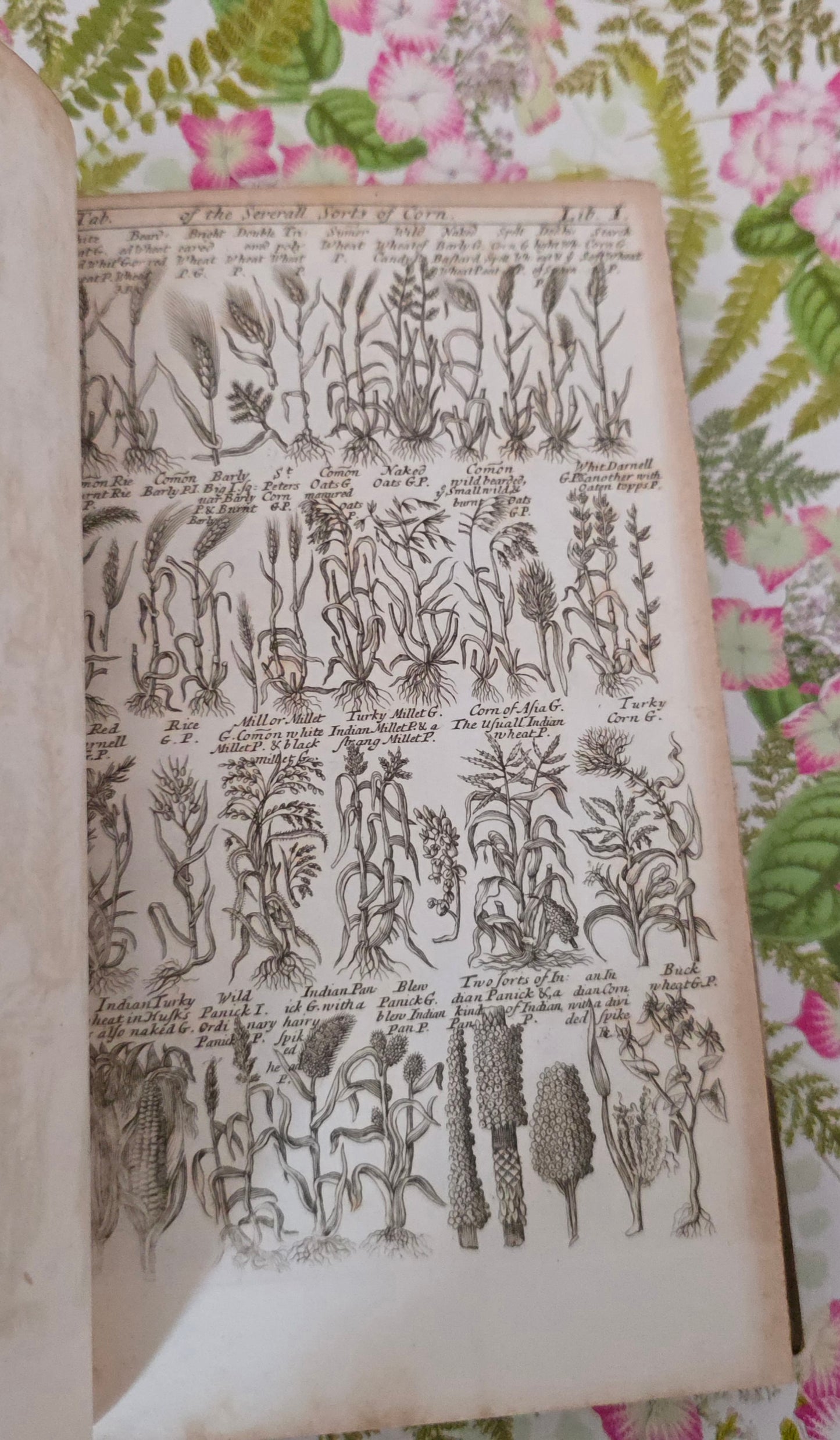 1805 A Complete Herbal - James Newton - Fine Binding - 175 Engraved Plates