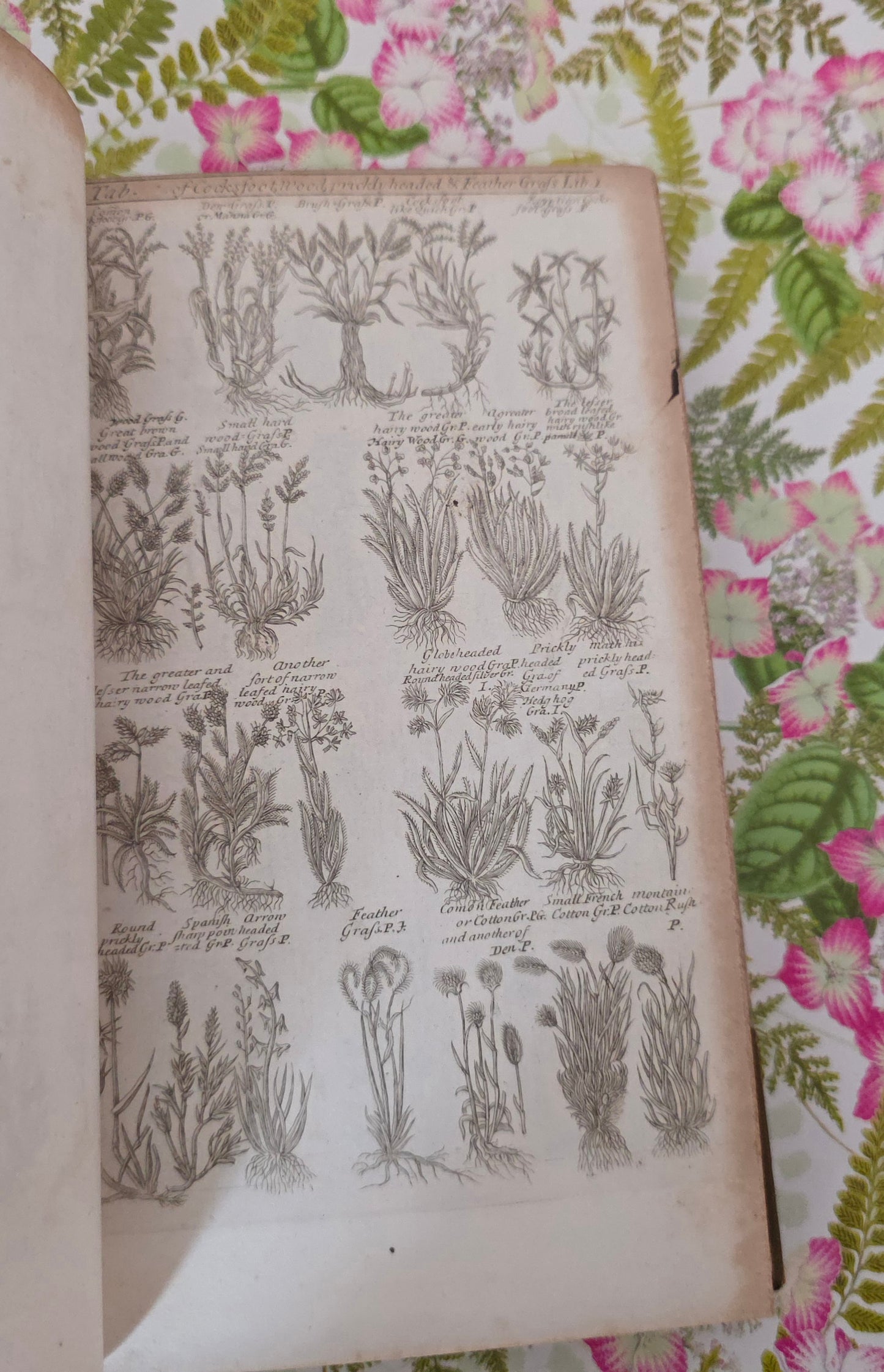 1805 A Complete Herbal - James Newton - Fine Binding - 175 Engraved Plates