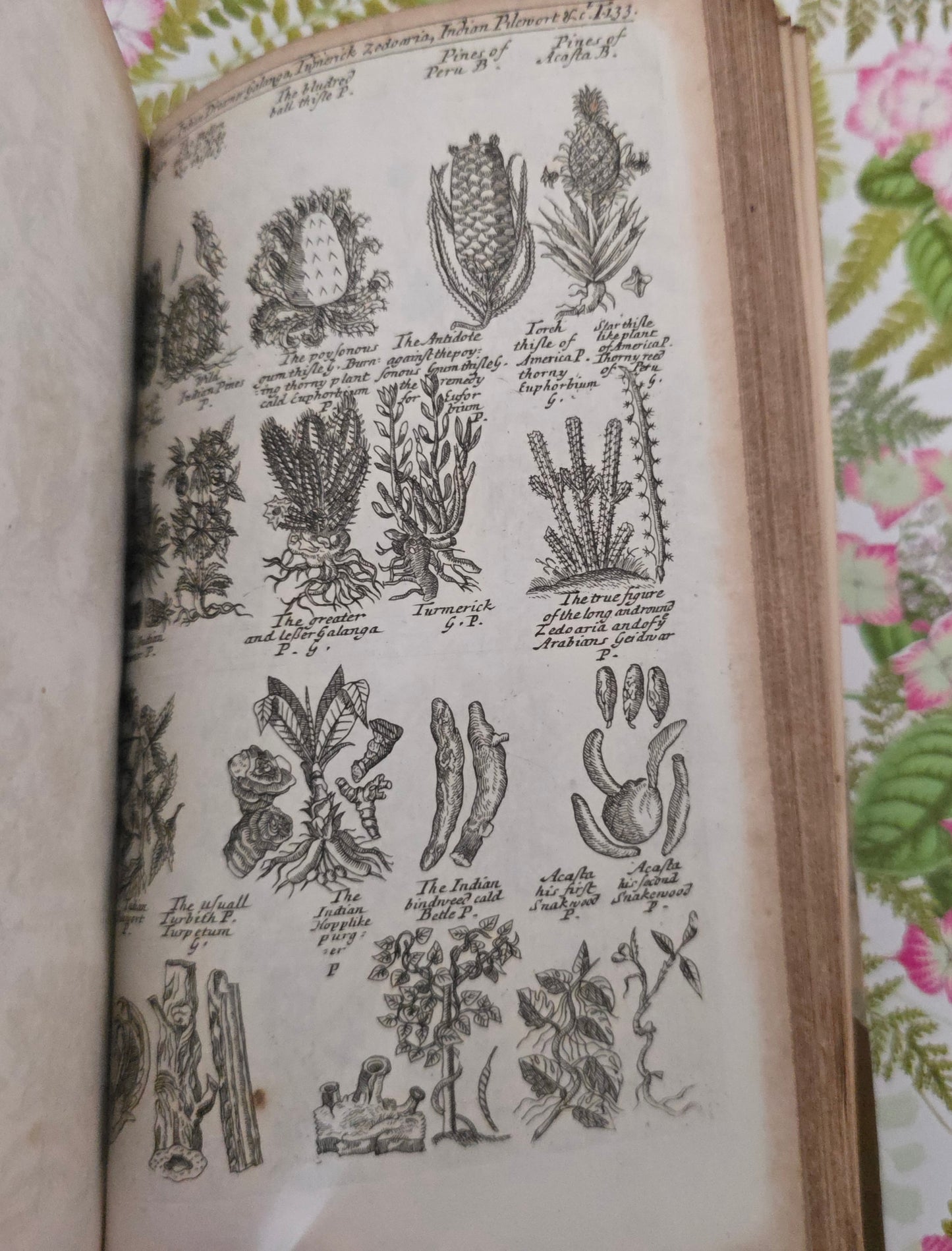 1805 A Complete Herbal - James Newton - Fine Binding - 175 Engraved Plates