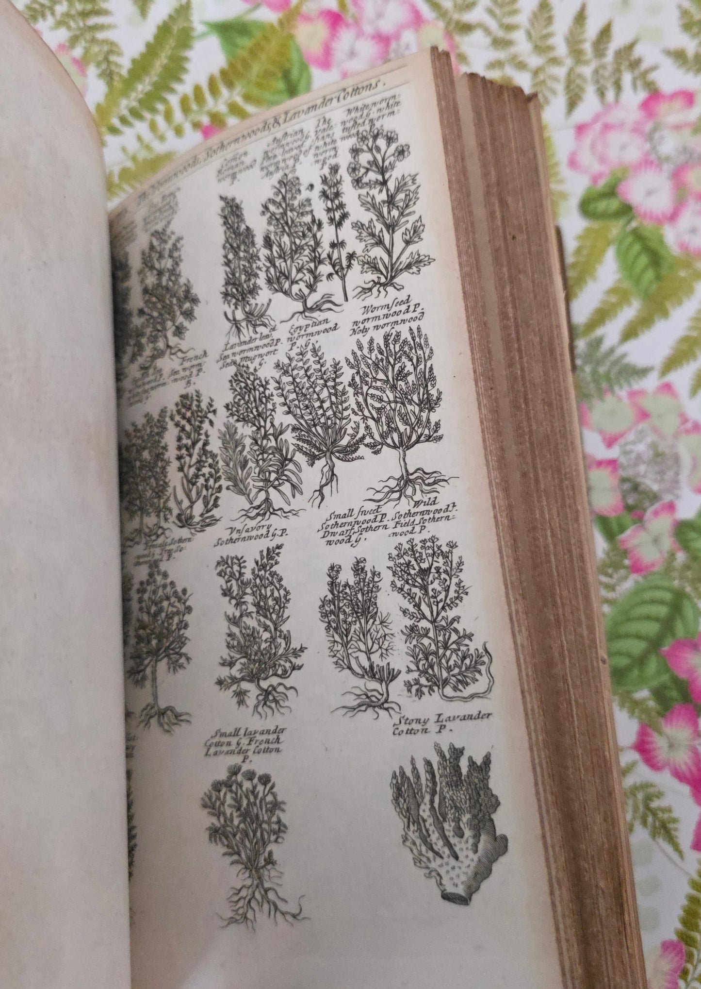 1805 A Complete Herbal - James Newton - Fine Binding - 175 Engraved Plates