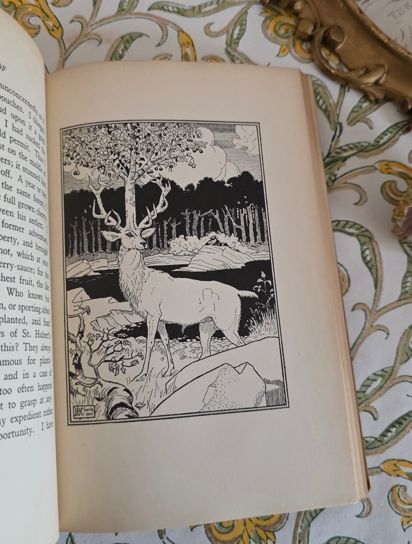 1929 The Surprising Adventures of Baron Munchausen - Illustrated Antique Book
