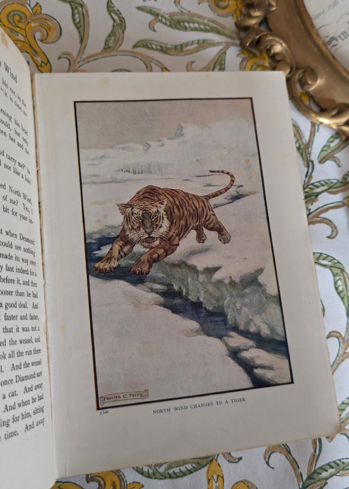 RESERVED RESERVED c1905 At the Back of the North Wind by George Macdonald - Illustrated Antique Book