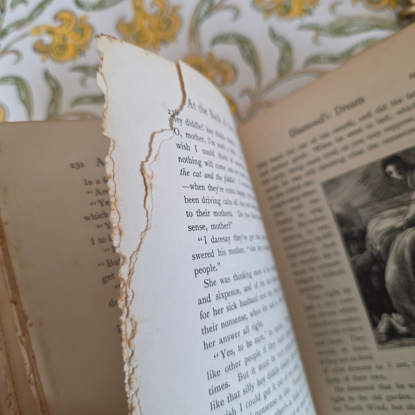 RESERVED RESERVED c1905 At the Back of the North Wind by George Macdonald - Illustrated Antique Book
