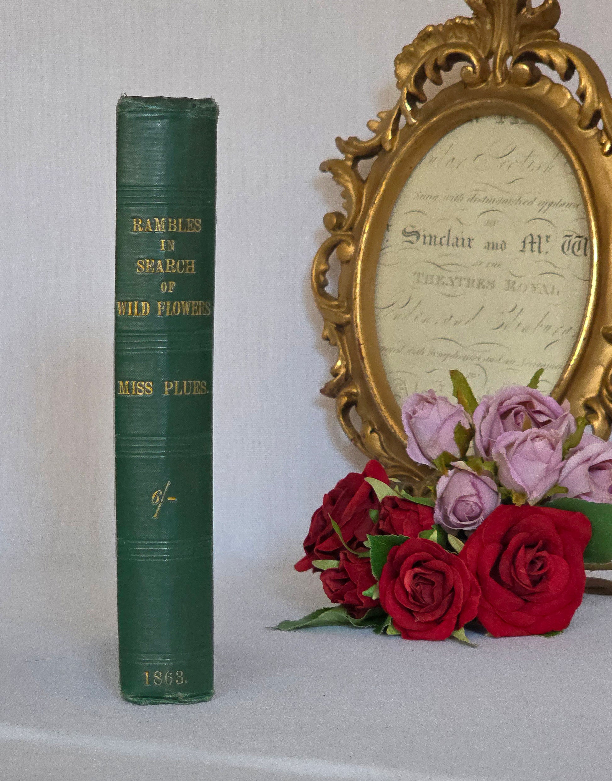 Vintage book titled 'Rambles in Search of Wild Flowers' by Miss Plues