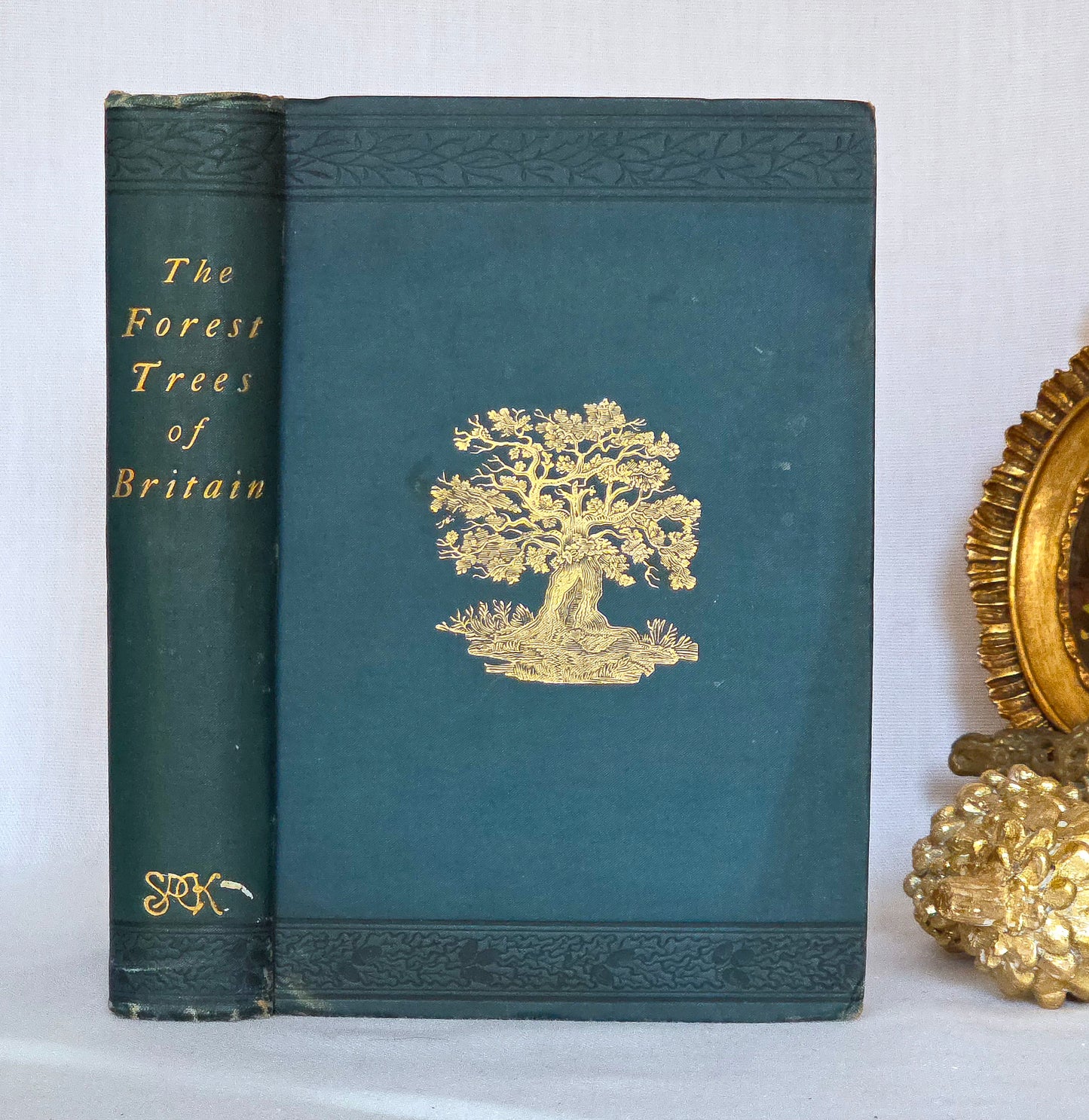 Antique book in blue cloth titled 'The Forest Trees of Britain' with a gold tree illustration.