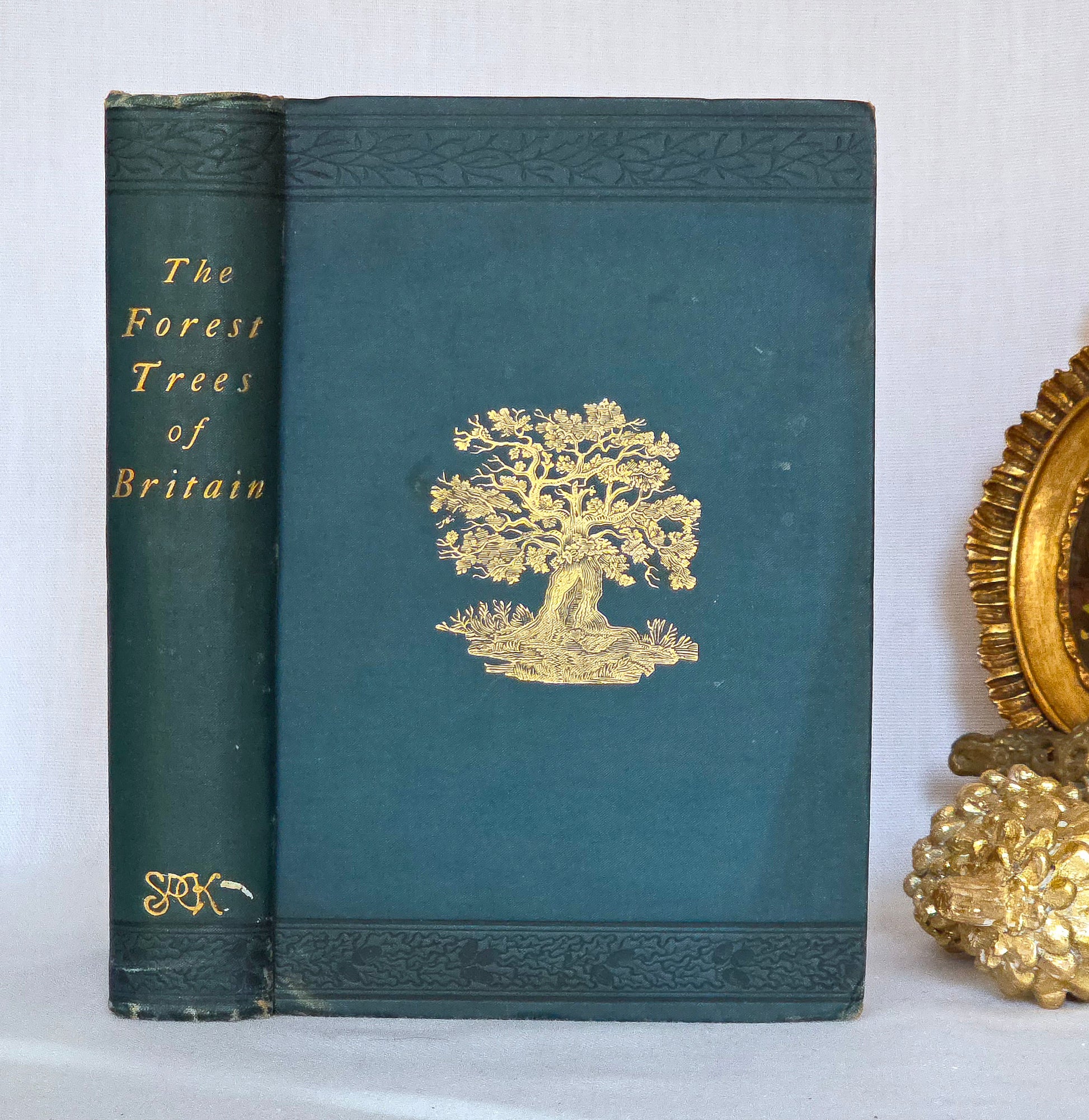Antique book in blue cloth titled 'The Forest Trees of Britain' with a gold tree illustration.