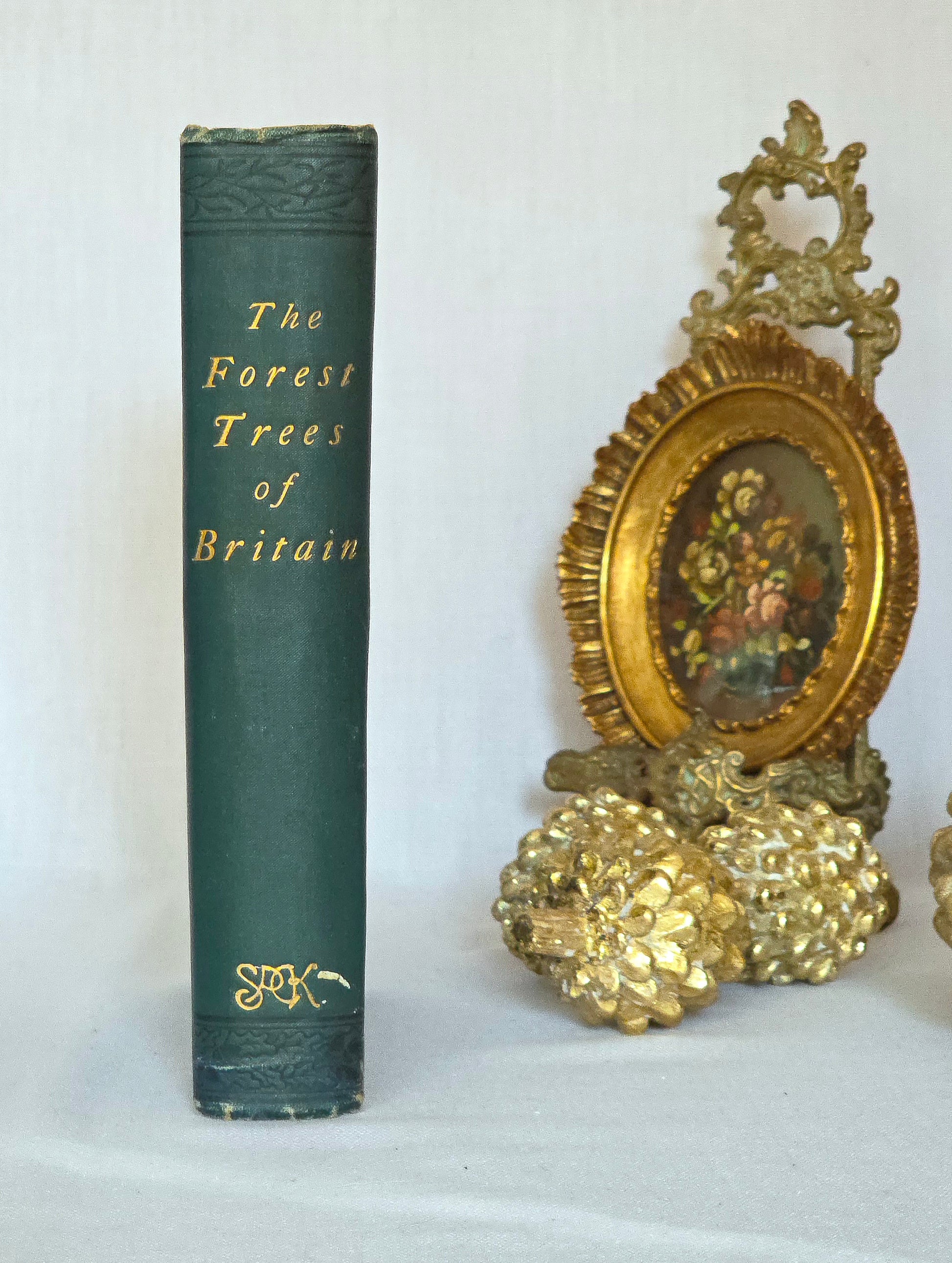 Antique book in blue cloth titled 'The Forest Trees of Britain'.
