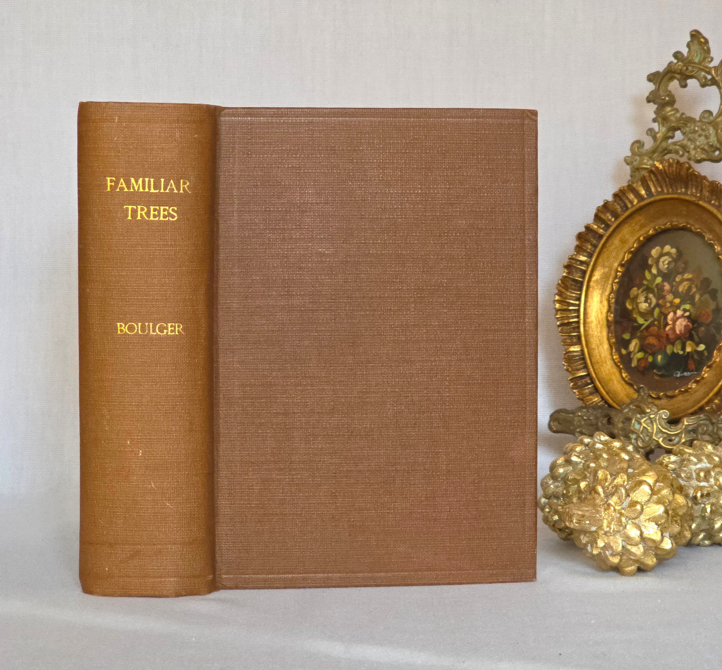 1908 Familiar Trees by GS Boulger - Illustrated Antique Book