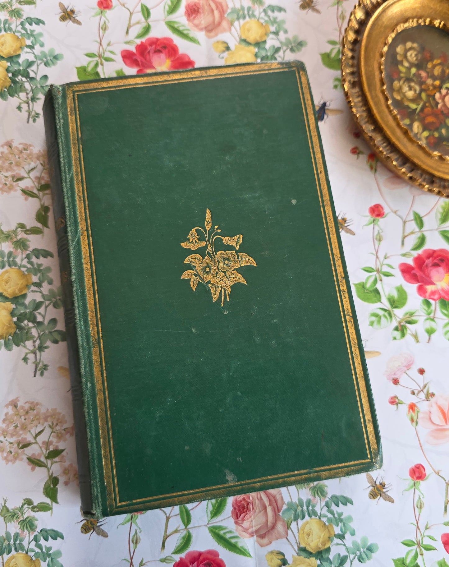 1863 Rambles in Search of Wild Flowers - Illustrated Antique Book
