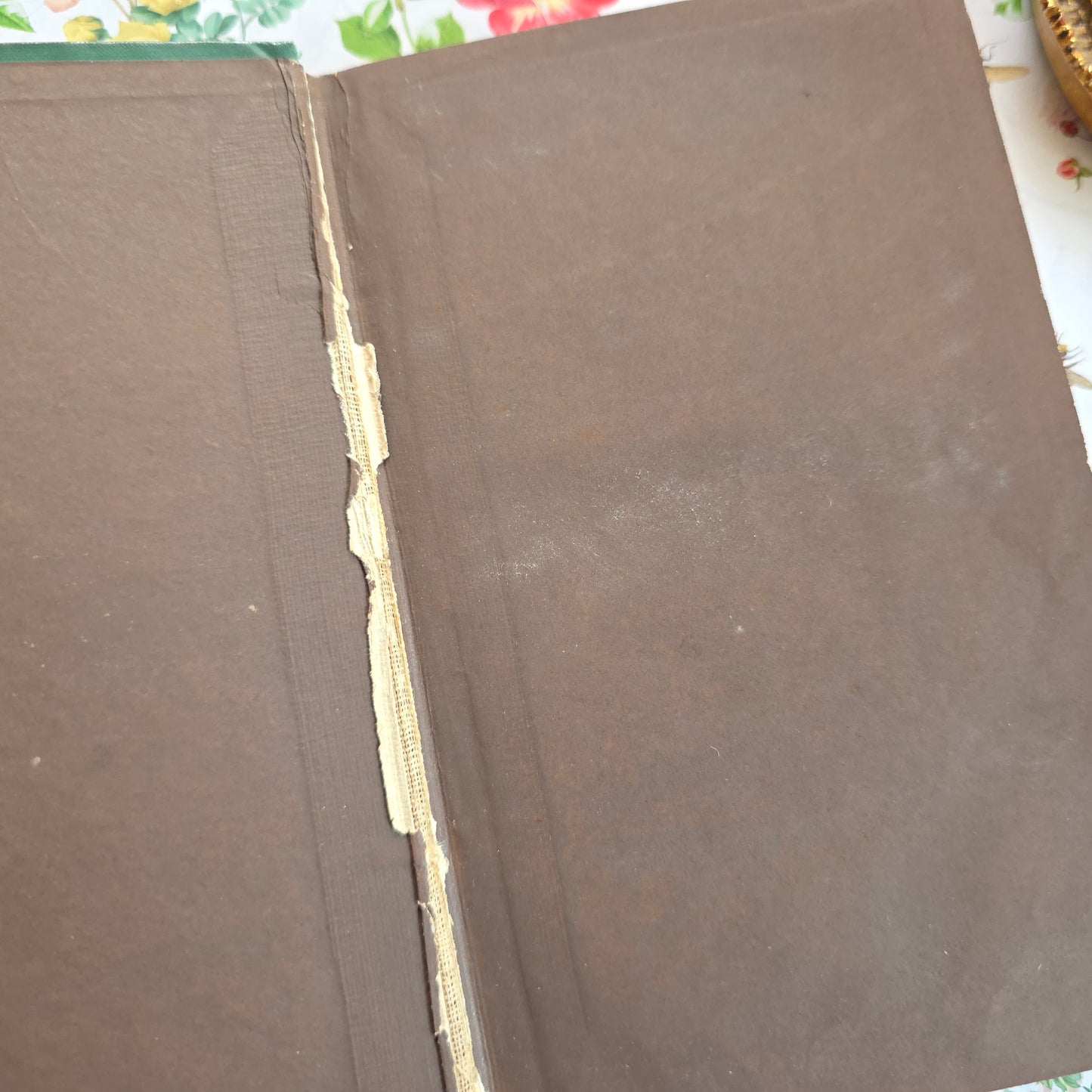 1863 Rambles in Search of Wild Flowers - Illustrated Antique Book